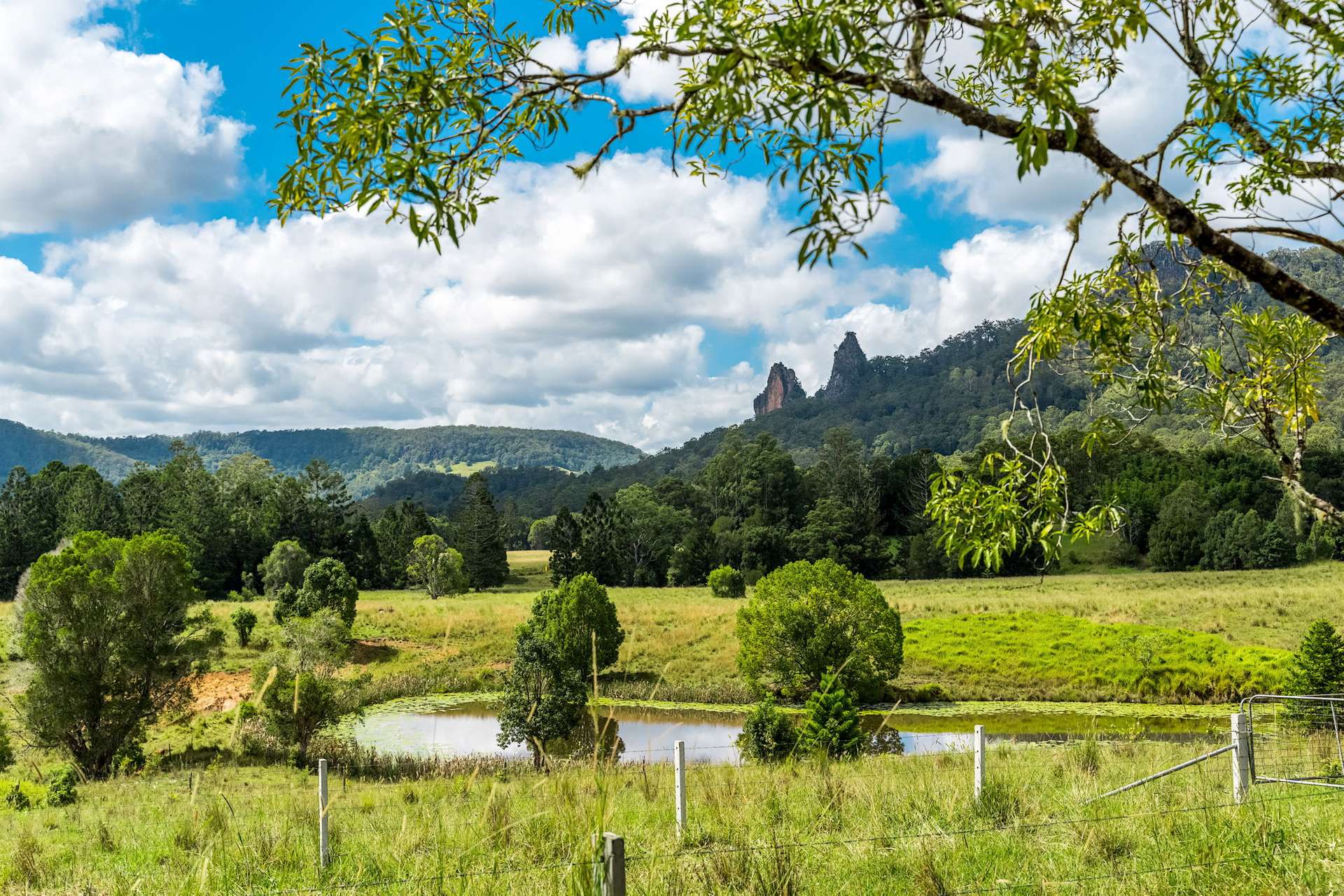219 Stony Chute Road, Nimbin For Sale by Farmbuy.com - image 31