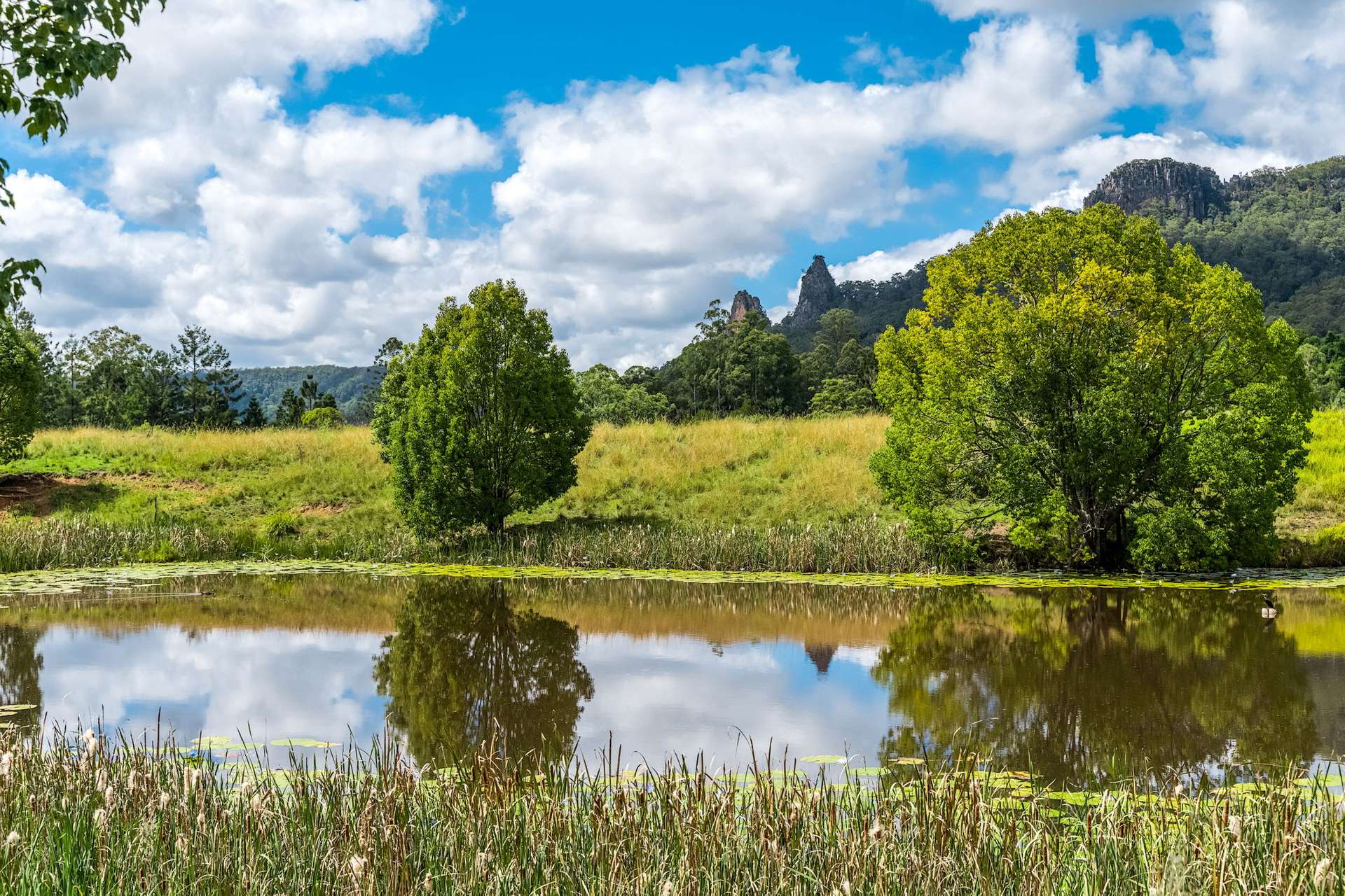 219 Stony Chute Road, Nimbin For Sale by Farmbuy.com - image 1