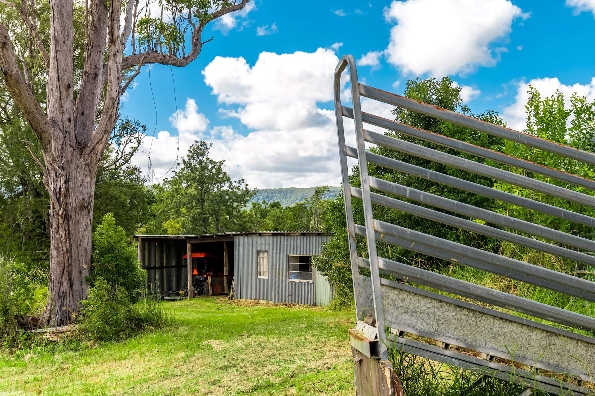 219 Stony Chute Road, Nimbin For Sale by Farmbuy.com - image 25