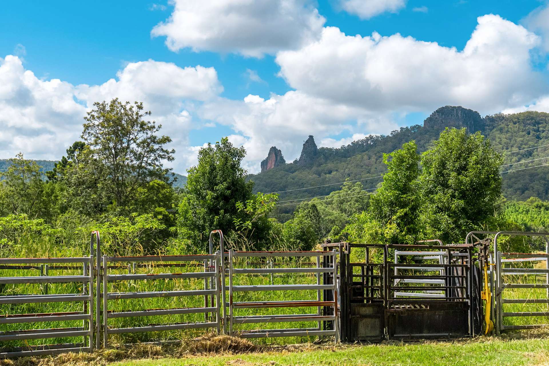 219 Stony Chute Road, Nimbin For Sale by Farmbuy.com - image 23