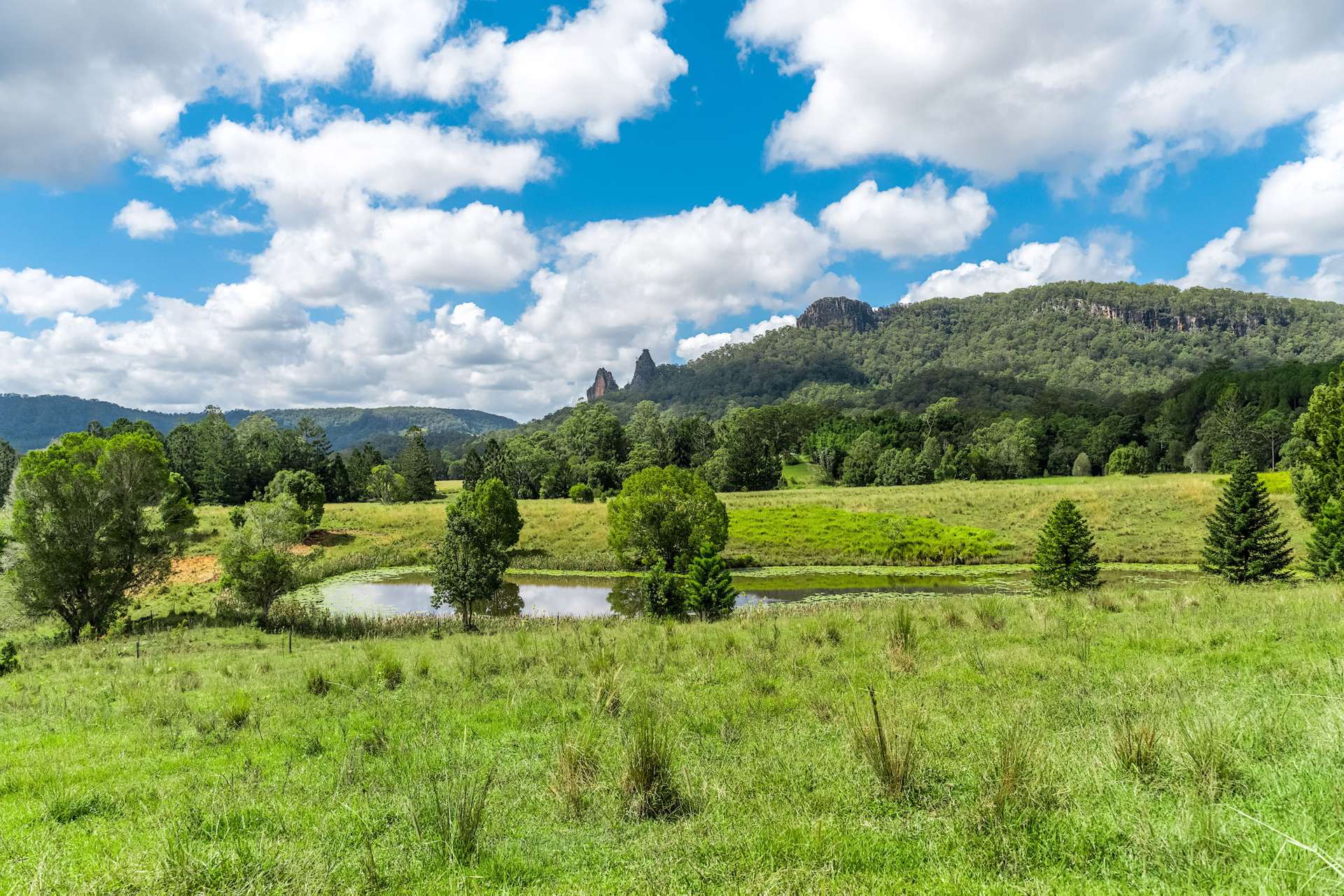 219 Stony Chute Road, Nimbin For Sale by Farmbuy.com - image 27