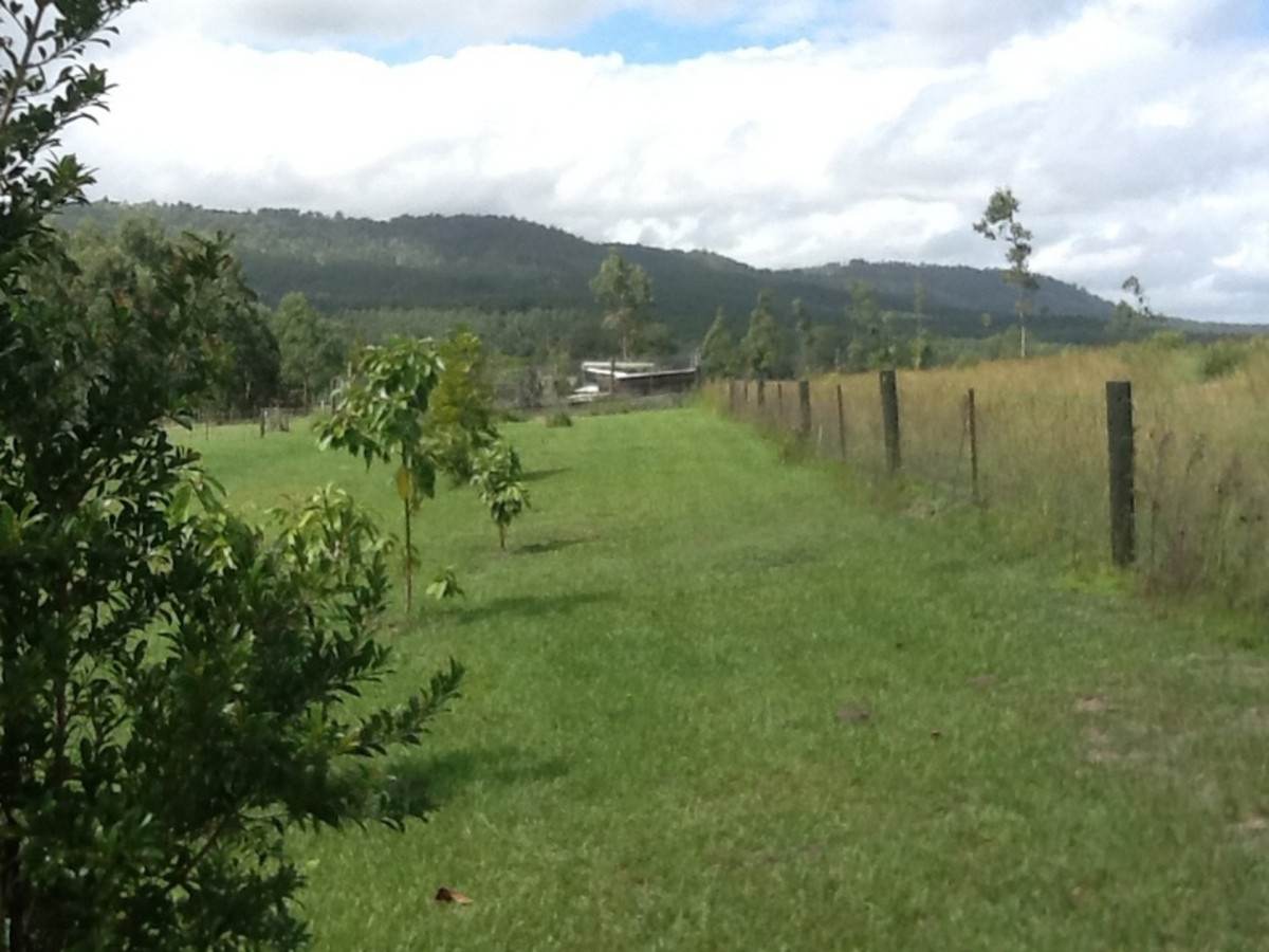 37 Dyraaba Street, Bonalbo Sold by Farmbuy.com - image 33