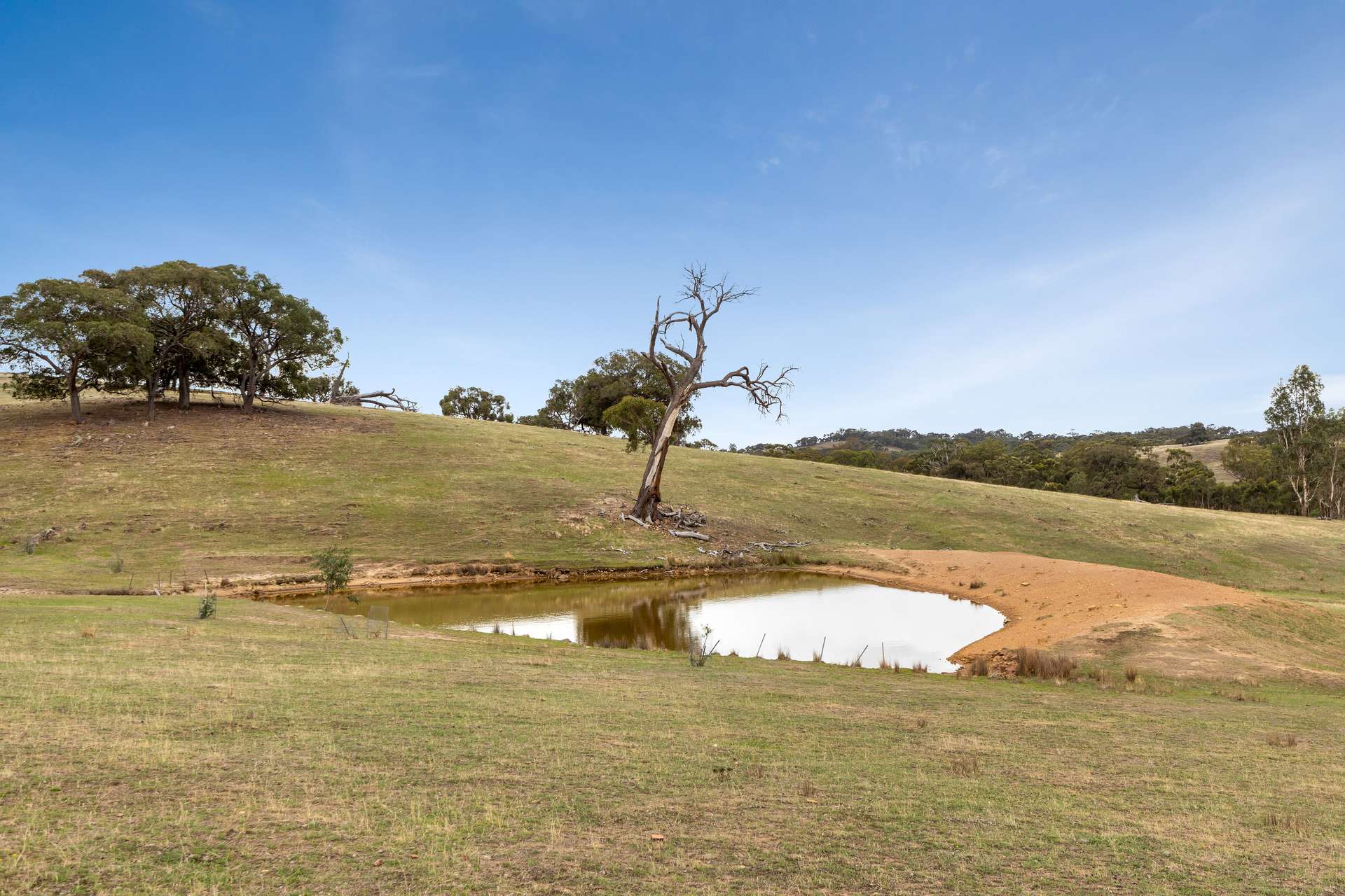940 Dairy Flat Road, Heathcote South Sold by Farmbuy.com - image 16