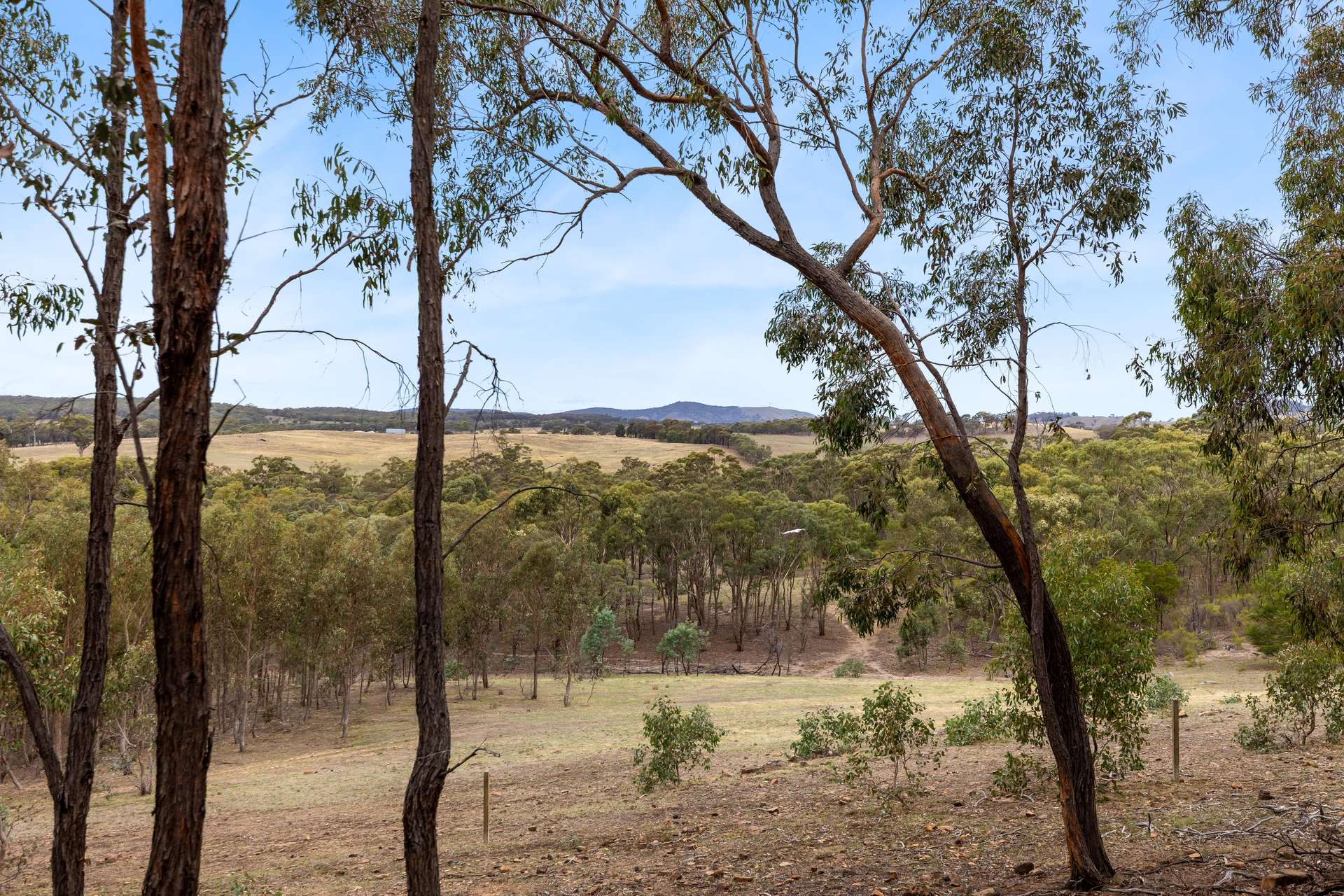 940 Dairy Flat Road, Heathcote For Sale by Farmbuy.com - image 17