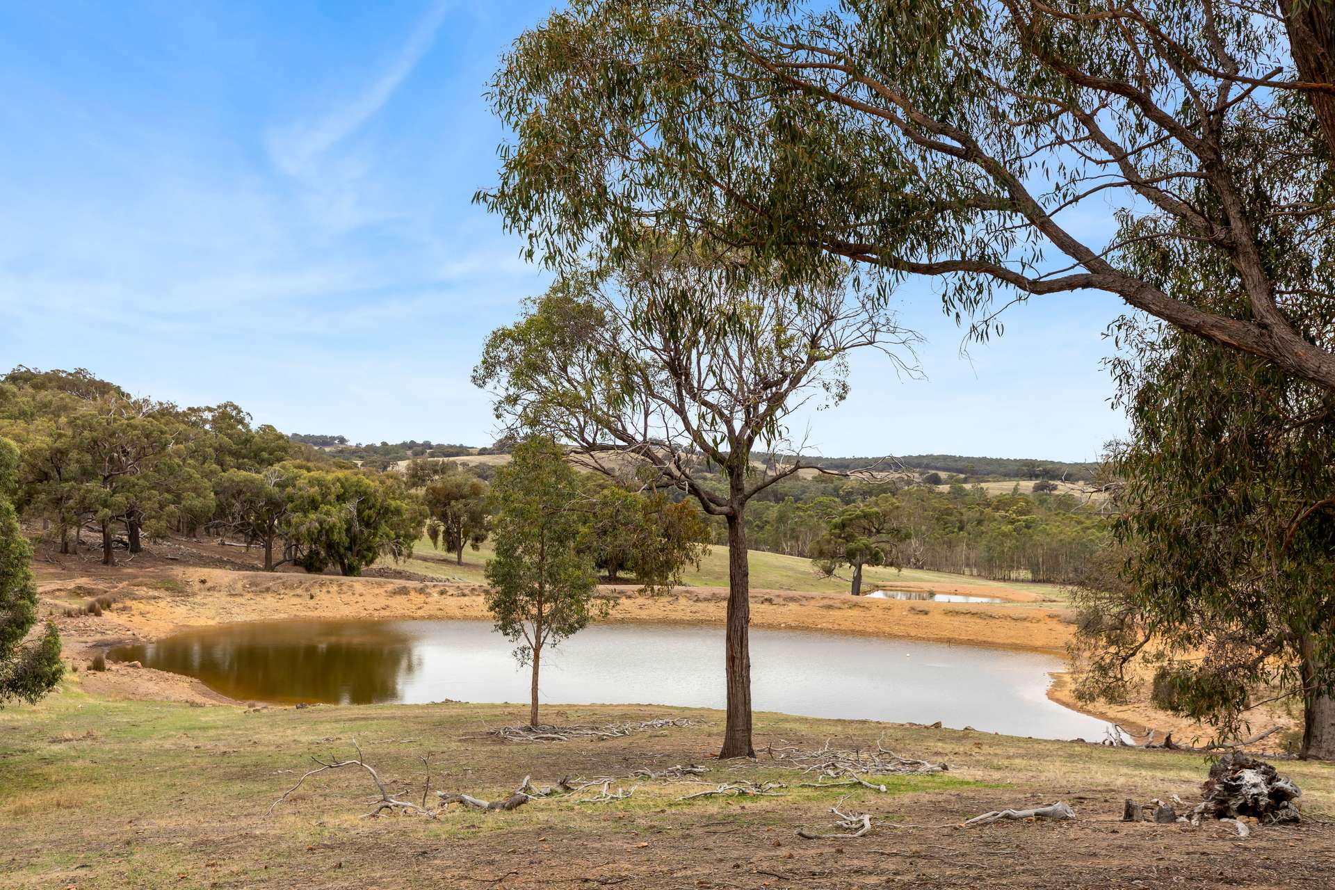 940 Dairy Flat Road, Heathcote South Sold by Farmbuy.com - image 14