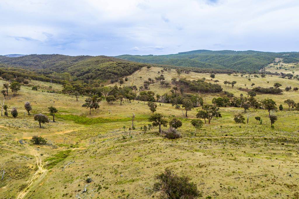 678 Dry Creek Road, Lewis Ponds NSW 2800