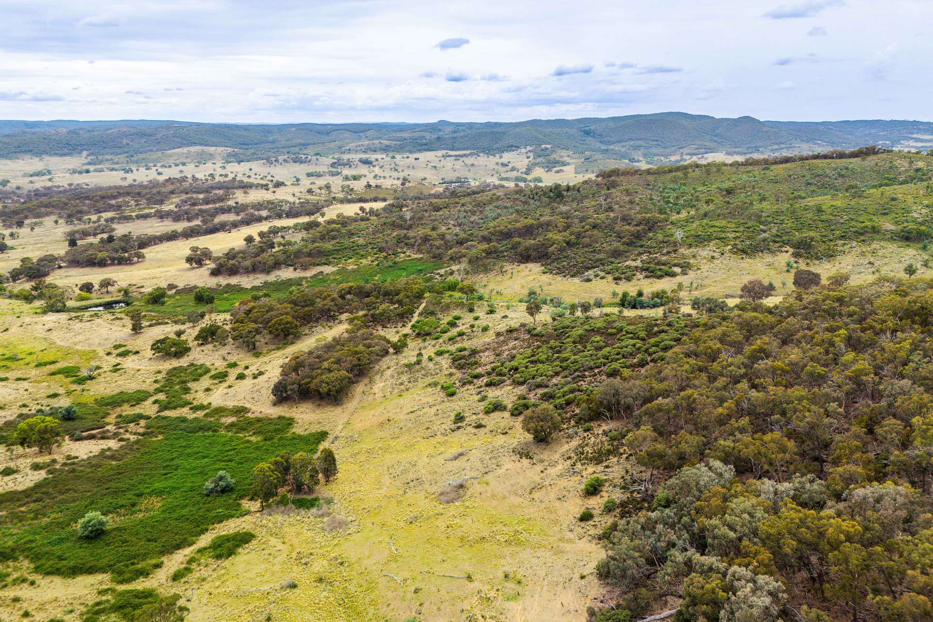 678 Dry Creek Road, Lewis Ponds For Sale by Farmbuy.com - image 28