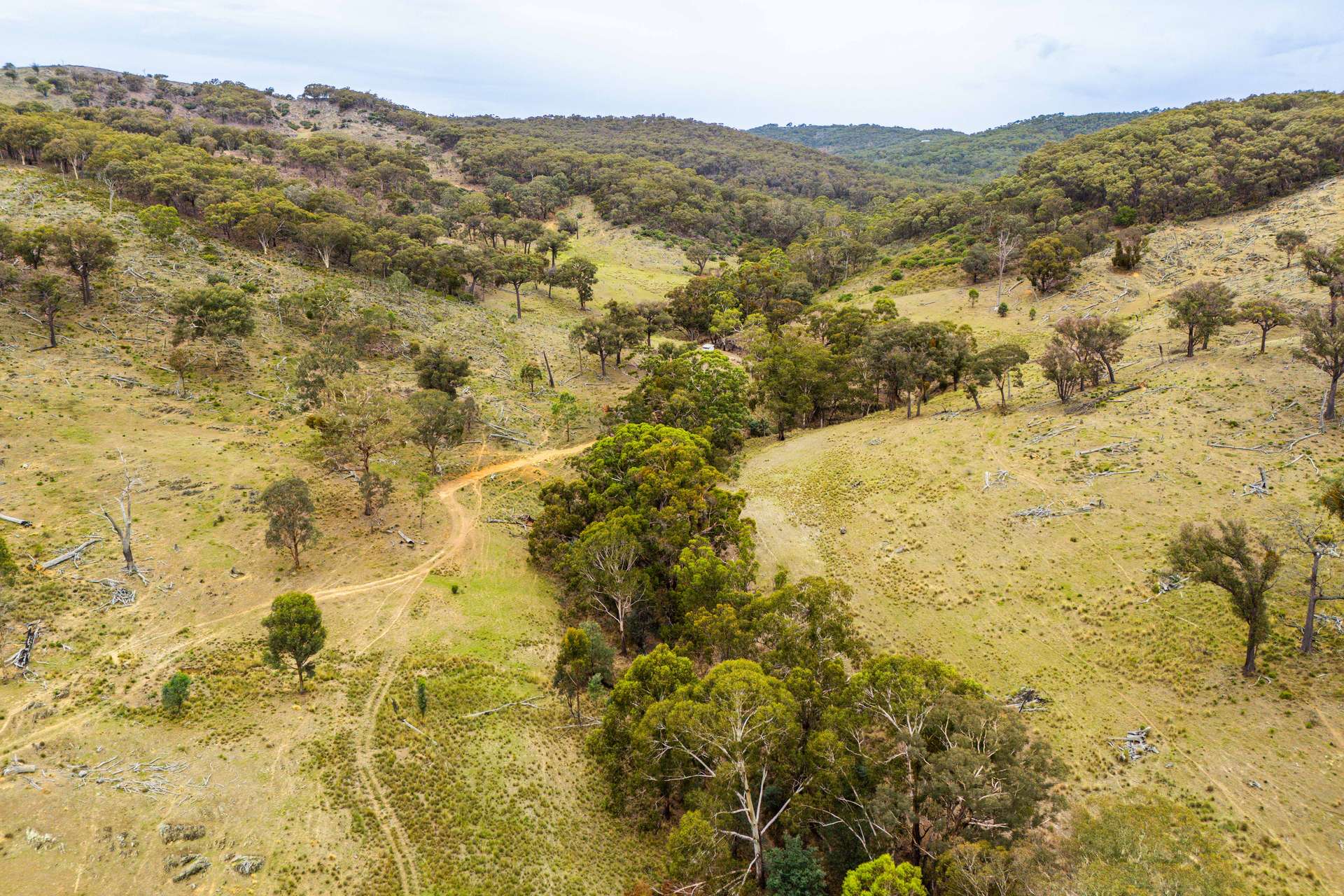 678 Dry Creek Road, Lewis Ponds For Sale by Farmbuy.com - image 18