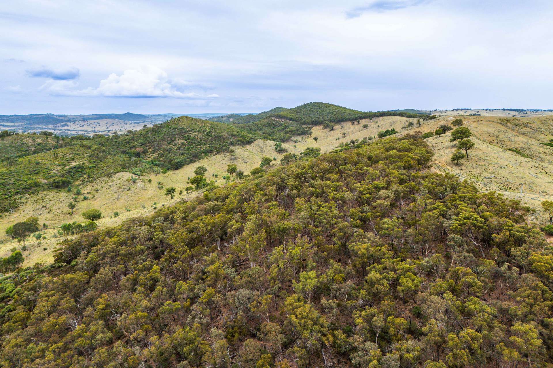 678 Dry Creek Road, Lewis Ponds For Sale by Farmbuy.com - image 29
