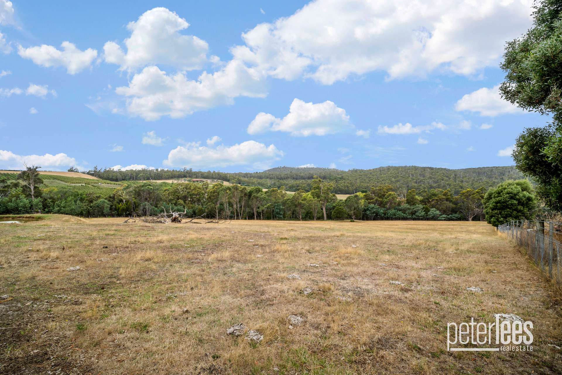 73 Johnstons Road, Hillwood Sold by Farmbuy.com - image 21
