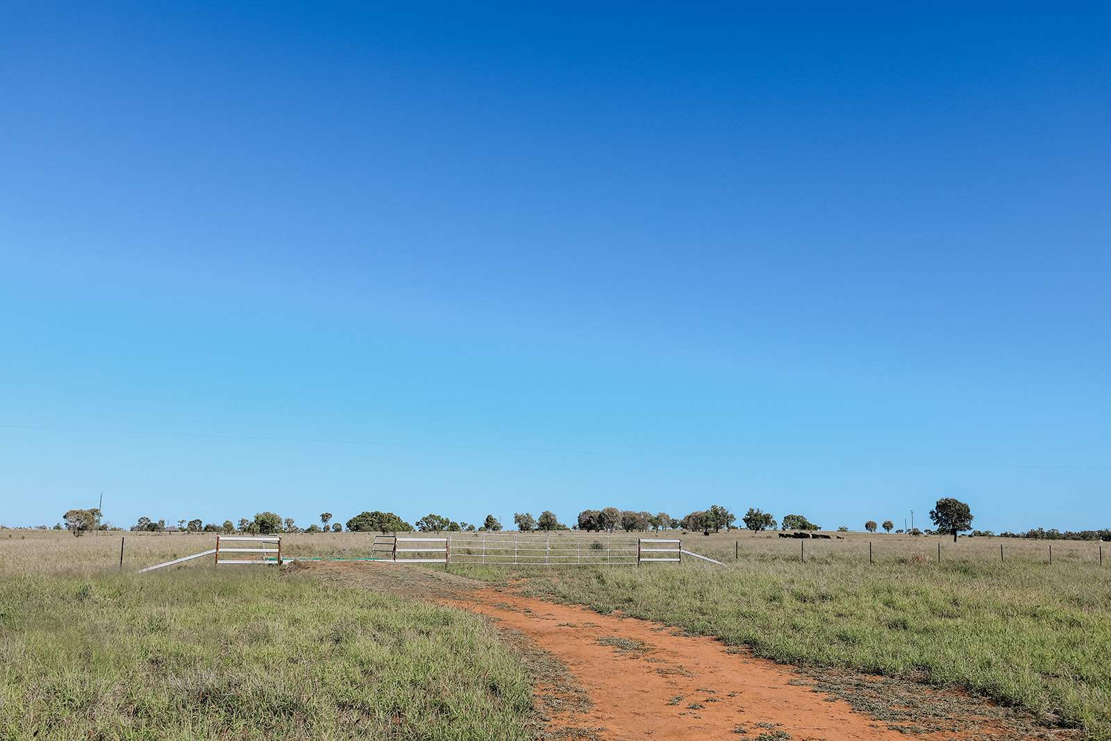 888 Dargal Road, Roma For Sale by Farmbuy.com - image 22
