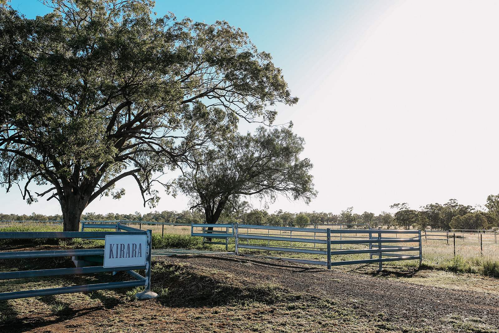 888 Dargal Road, Roma For Sale by Farmbuy.com - image 3