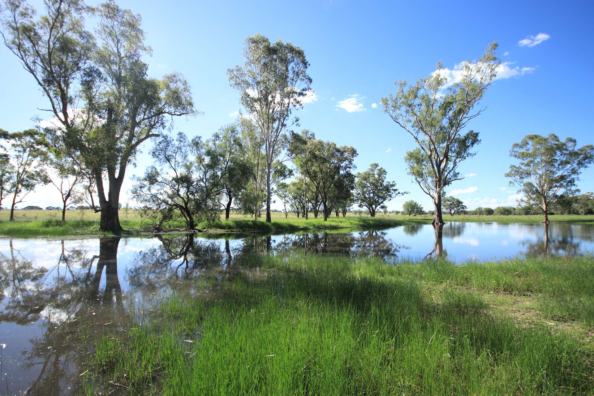 888 Dargal Road, Roma For Sale by Farmbuy.com - image 5