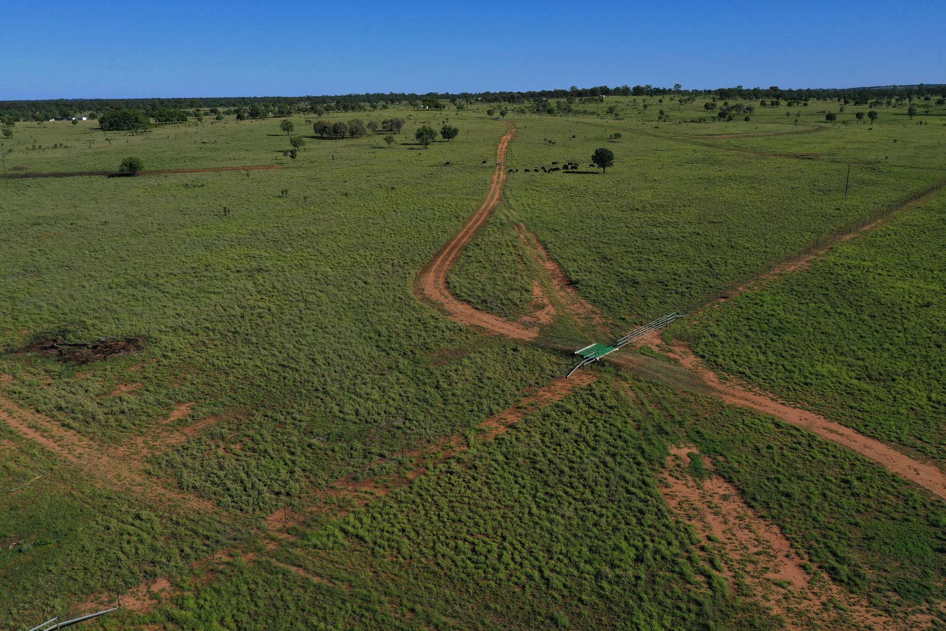 888 Dargal Road, Roma For Sale by Farmbuy.com - image 15