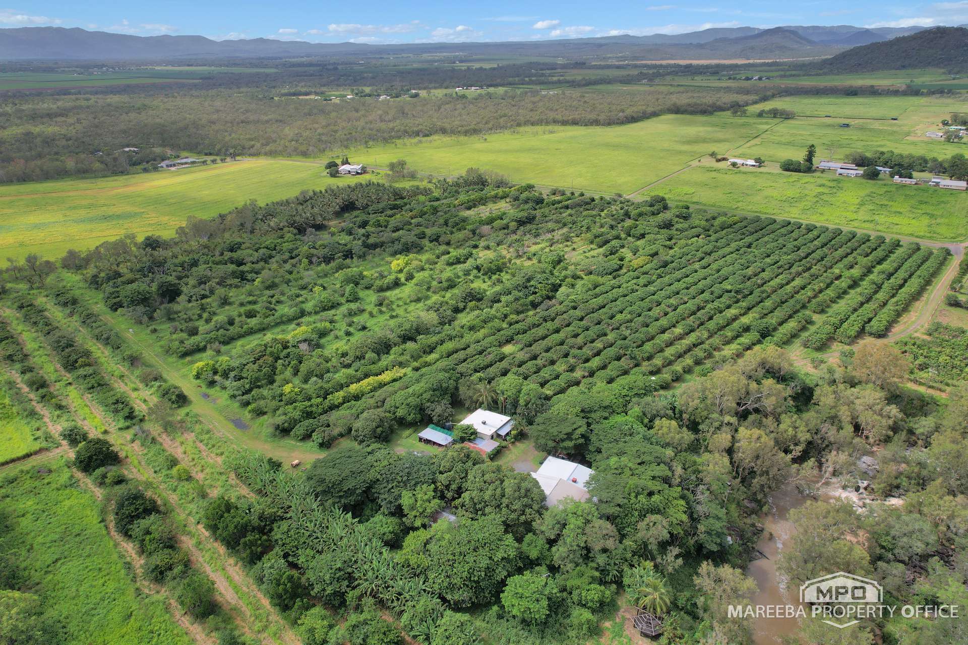 346 Roiko Road, Mareeba For Sale by Farmbuy.com - image 1