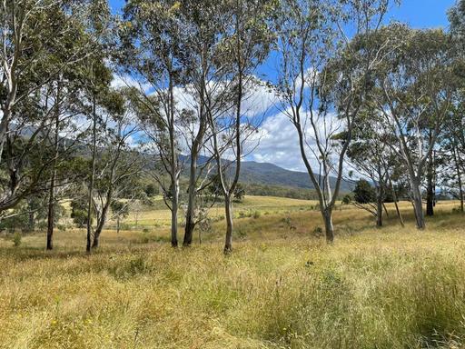 Farm Sold - NSW - Braidwood - 2622 - 681 Hereford Hall Road 