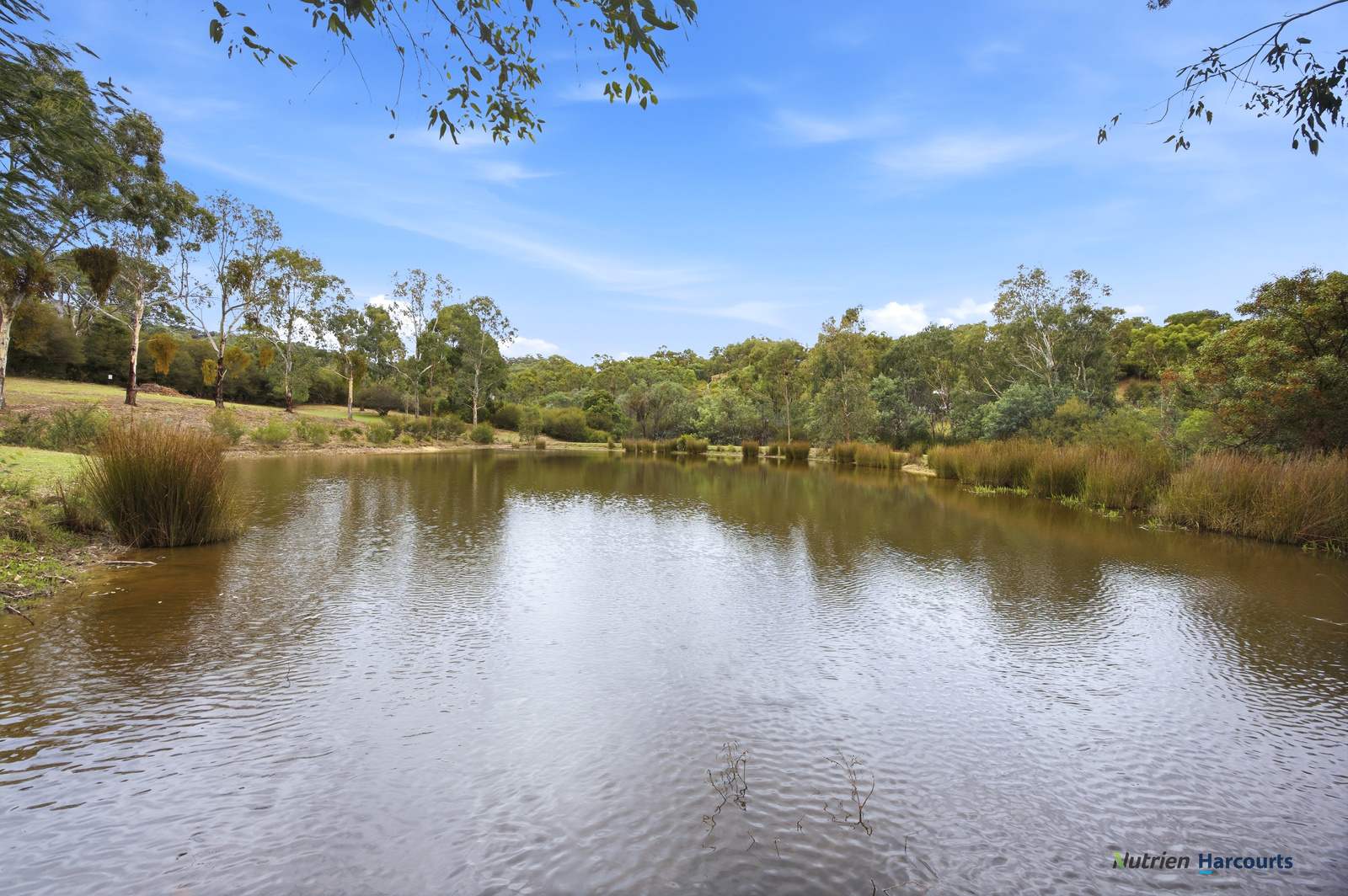 72 Alford Avenue, Eildon Sold by Farmbuy.com - image 21