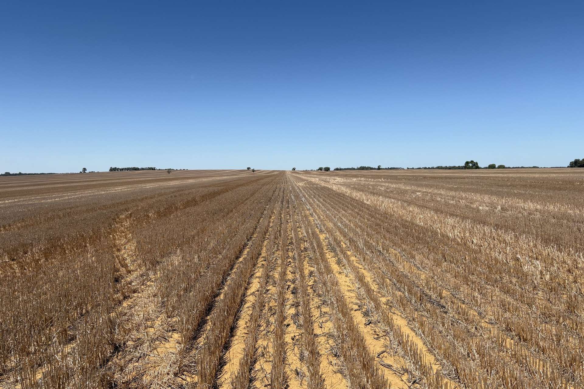 4779 Northwest Road, Dandaragan For Sale by Farmbuy.com - image 10