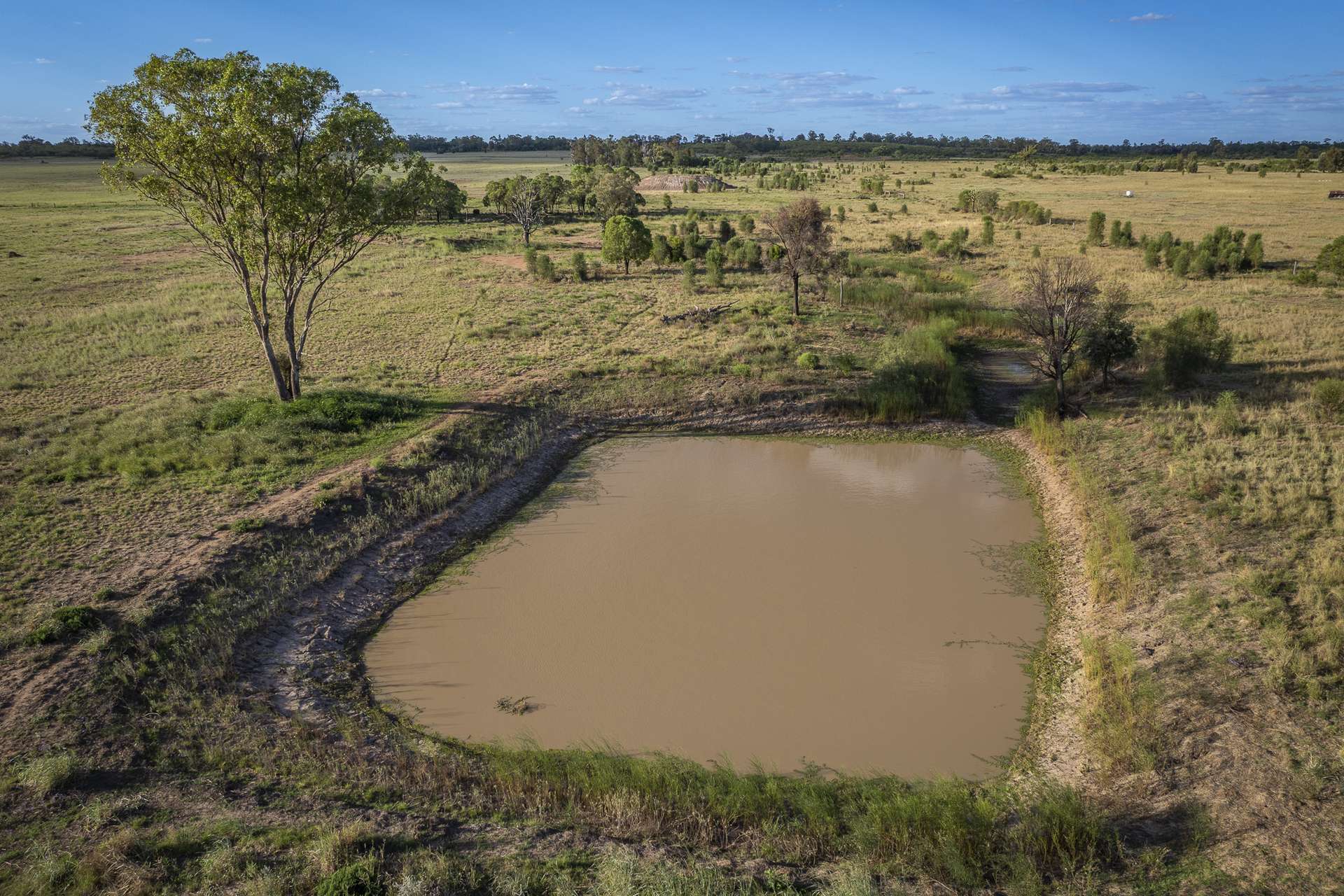 267 Bennetts School Road, Tara Auction by Farmbuy.com - image 7