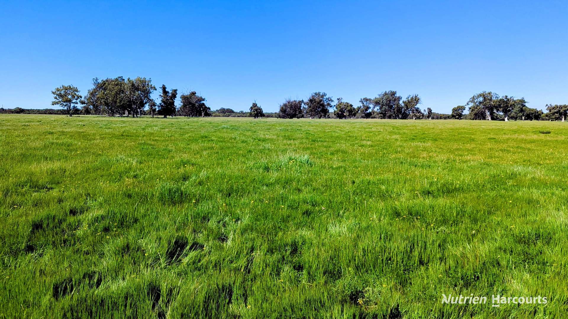 Lot 52 & 53 Cowalla Road, Cowalla, Gingin For Sale by Farmbuy.com - image 14