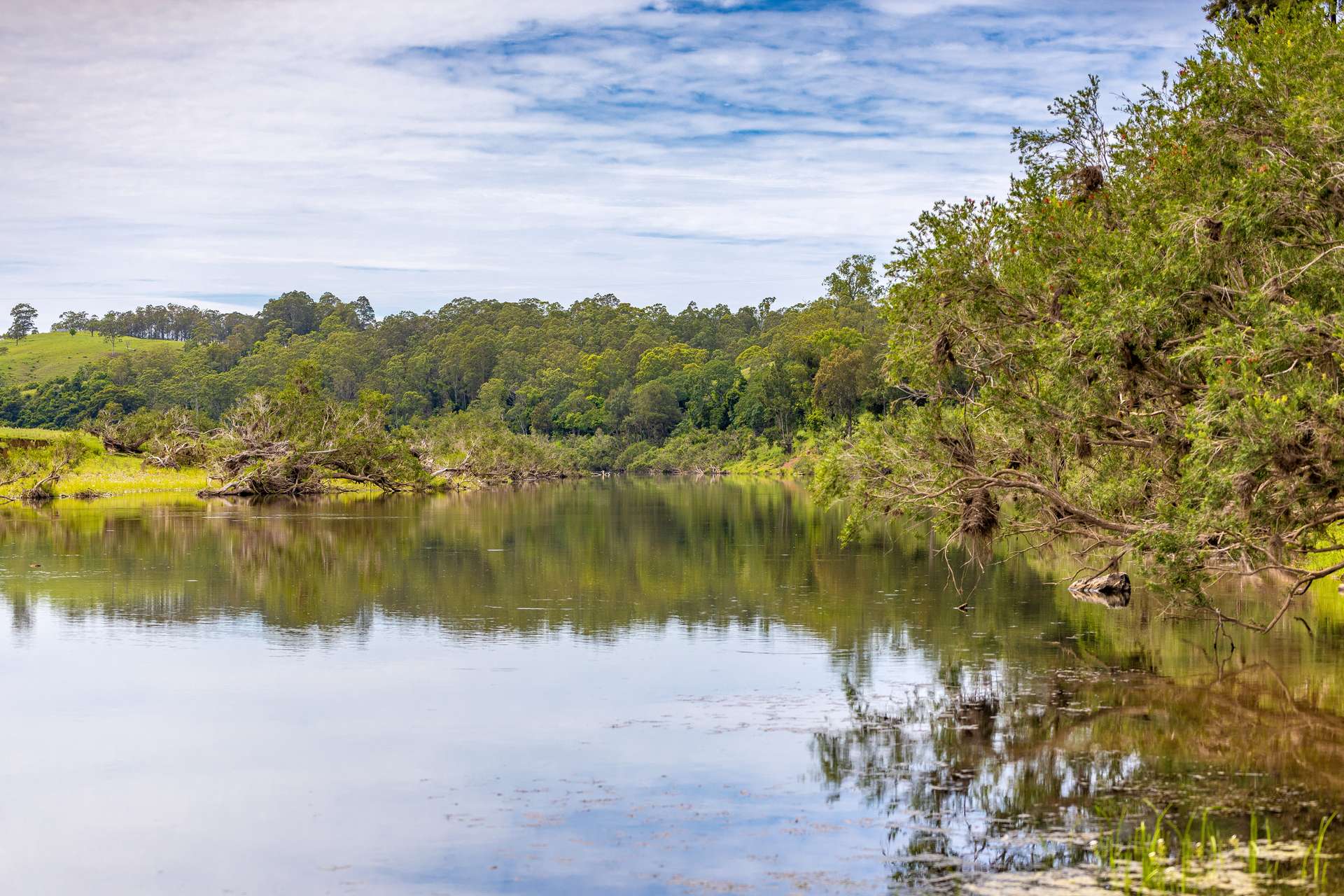 Lot 9 Somerset Road, Mount George For Sale by Farmbuy.com - image 9