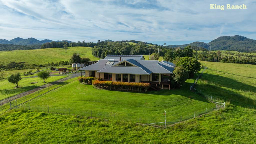 481 Upper Bobo Road, Dorrigo NSW 2453