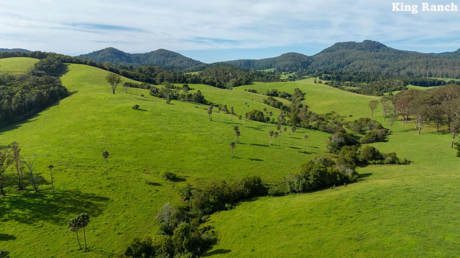 481 Upper Bobo Road, Dorrigo Sold by Farmbuy.com - image 13