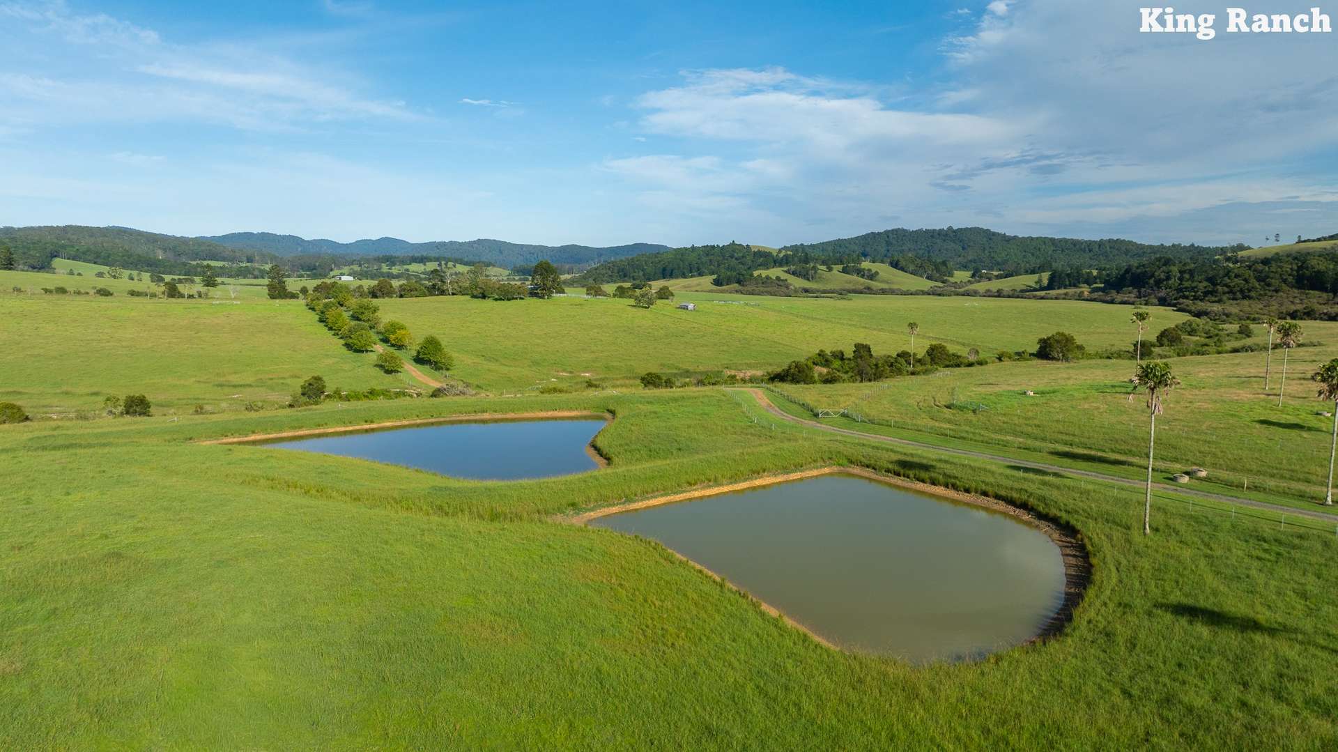 481 Upper Bobo Road, Dorrigo Sold by Farmbuy.com - image 11
