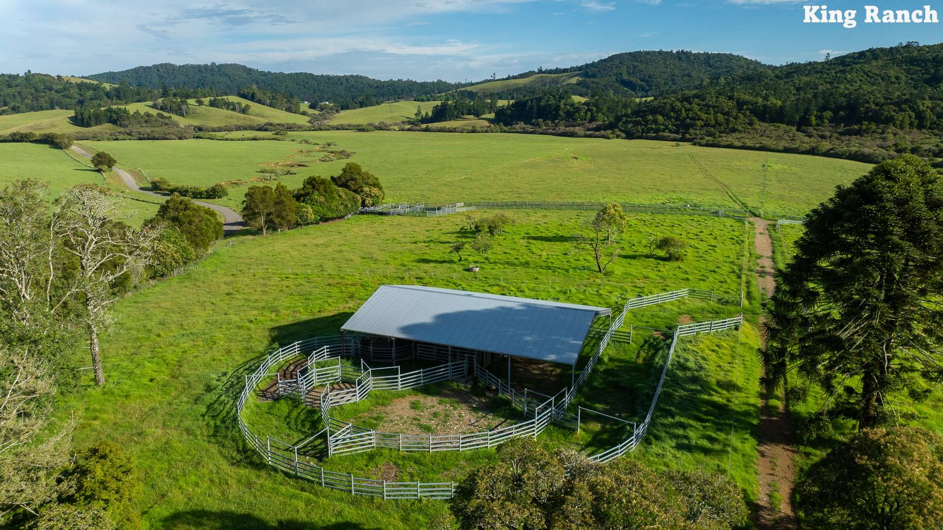 481 Upper Bobo Road, Dorrigo Sold by Farmbuy.com - image 10