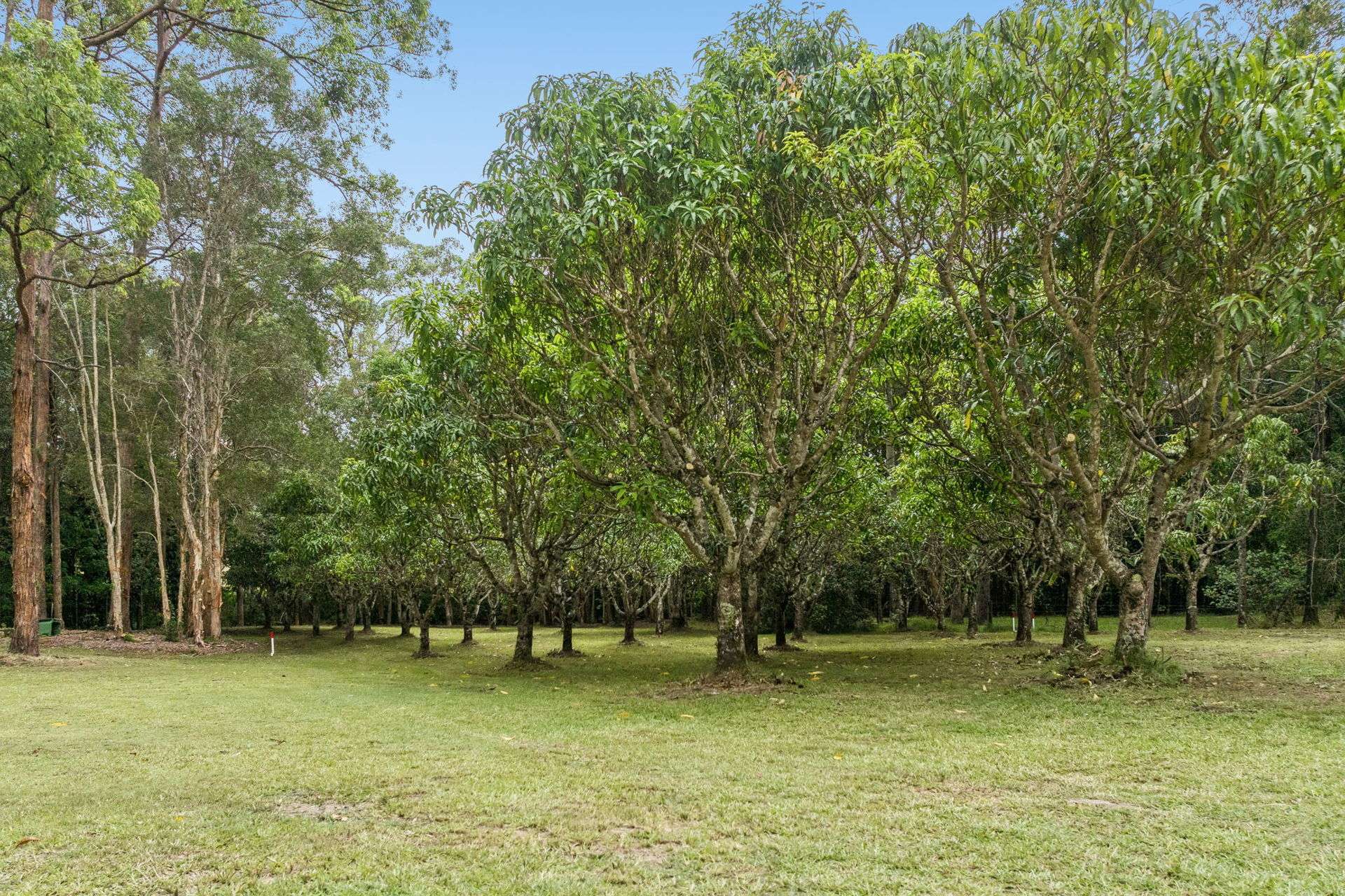 Lot 2, 2643 Old Gympie Road, Beerwah Sold by Farmbuy.com - image 1