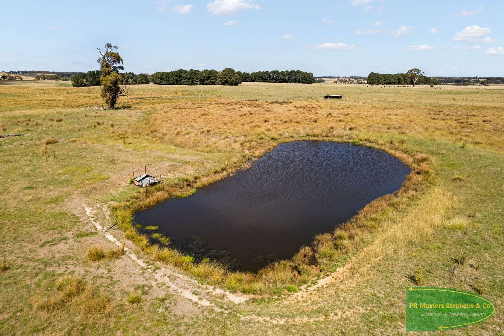 1455 Hobbys Yards Road Hobby Yards, Bathurst For Sale by Farmbuy.com - image 24
