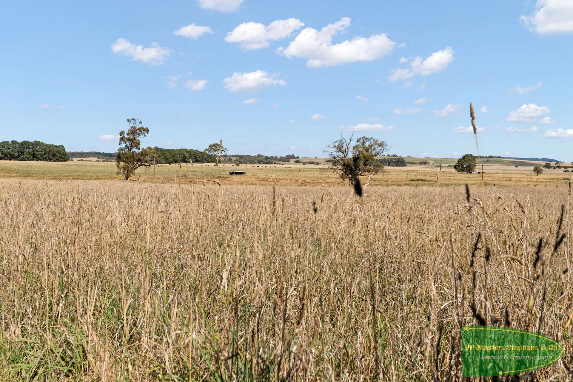 1455 Hobbys Yards Road Hobby Yards, Bathurst For Sale by Farmbuy.com - image 18