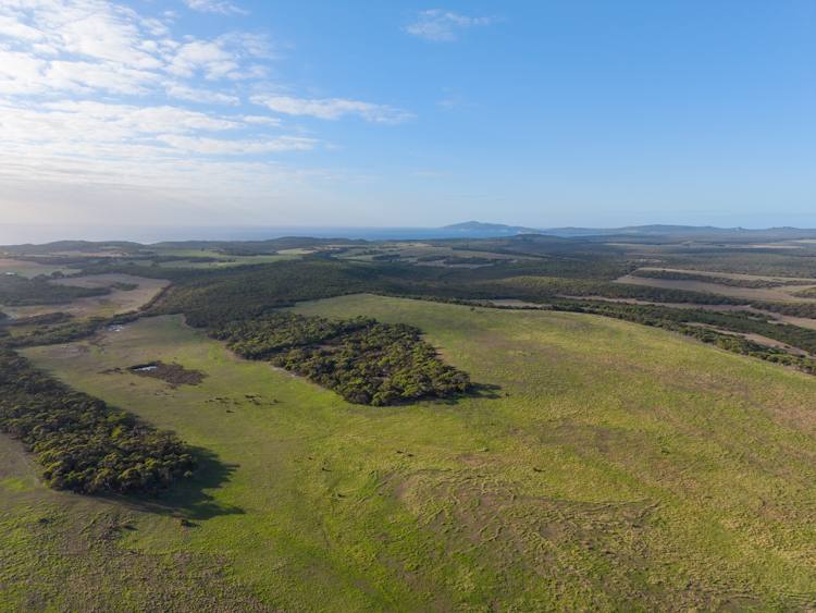 582 Bluff Creek Road, Green Range For Sale by Farmbuy.com - image 16