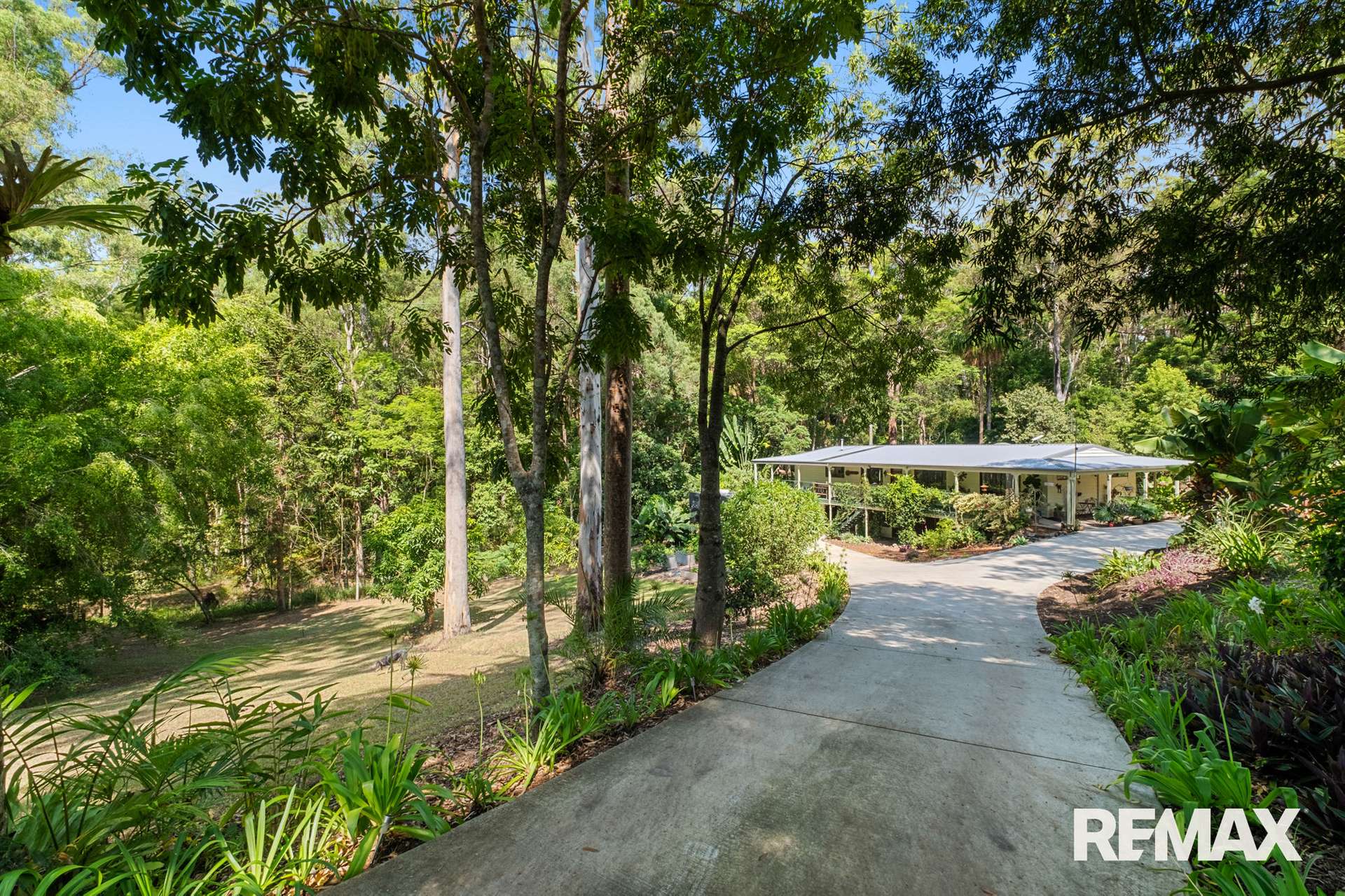 635-659 Blackall Range Road, West Woombye Sold by Farmbuy.com - image 19