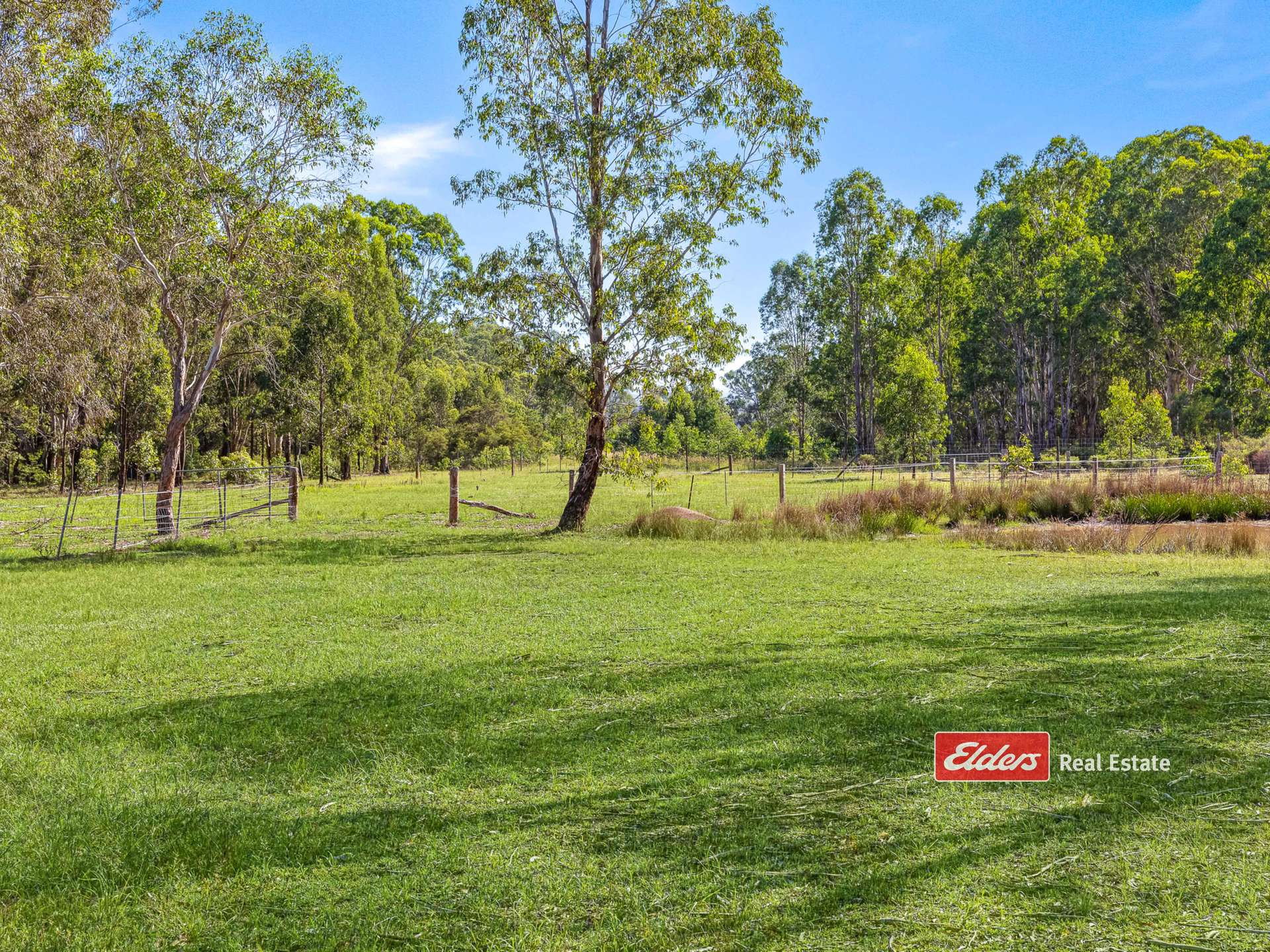 576 Wallarobba-Brookfield Road, Wallarobba Via, Dungog Sold by Farmbuy.com - image 16