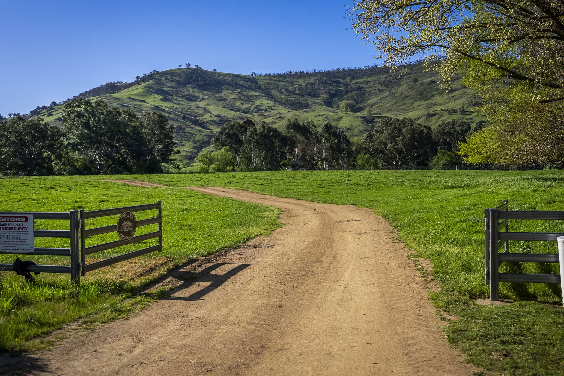 - Murray River Road, Pine Mountain For Sale by Farmbuy.com - image 11
