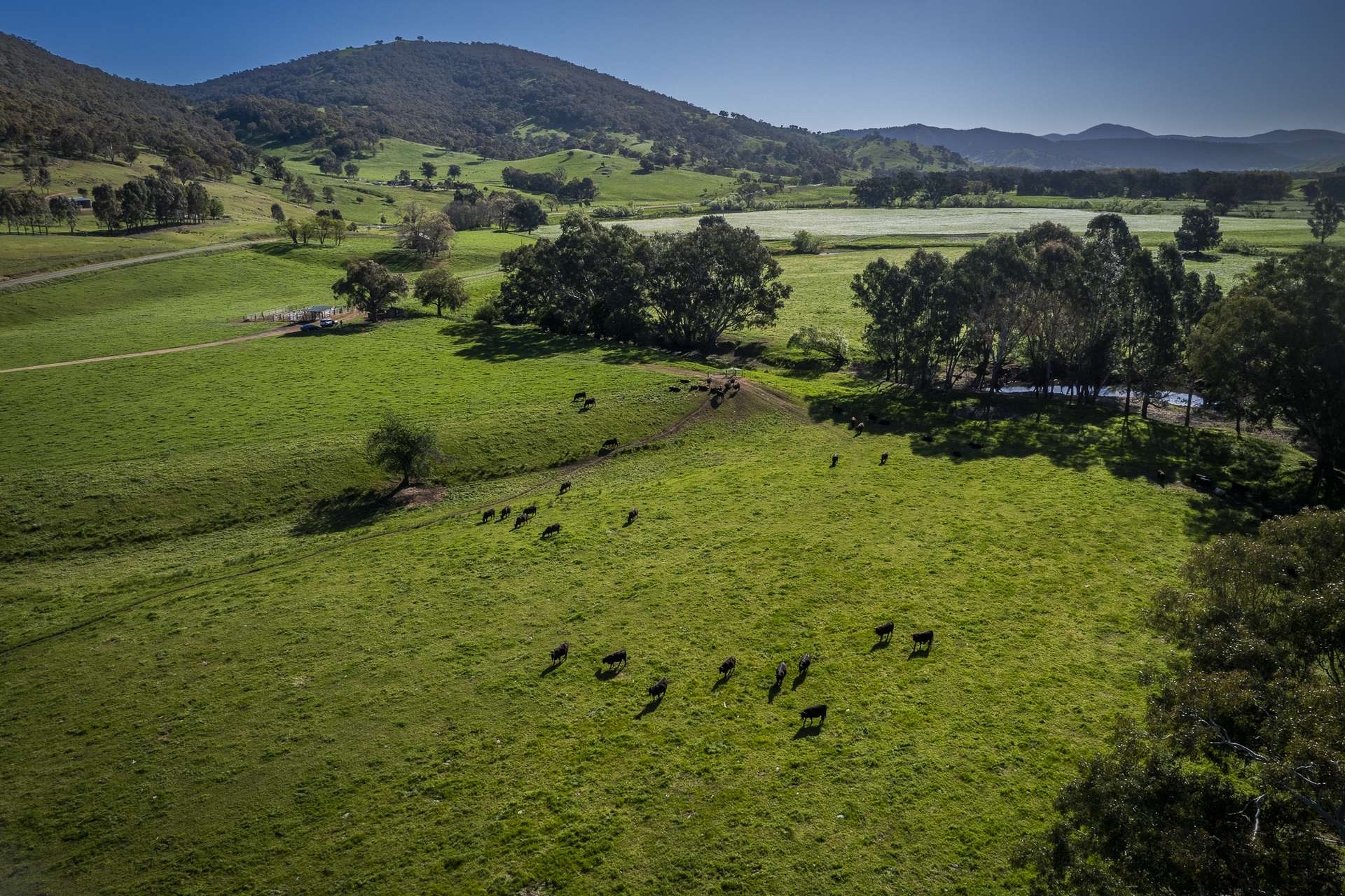 - Murray River Road, Pine Mountain For Sale by Farmbuy.com - image 10