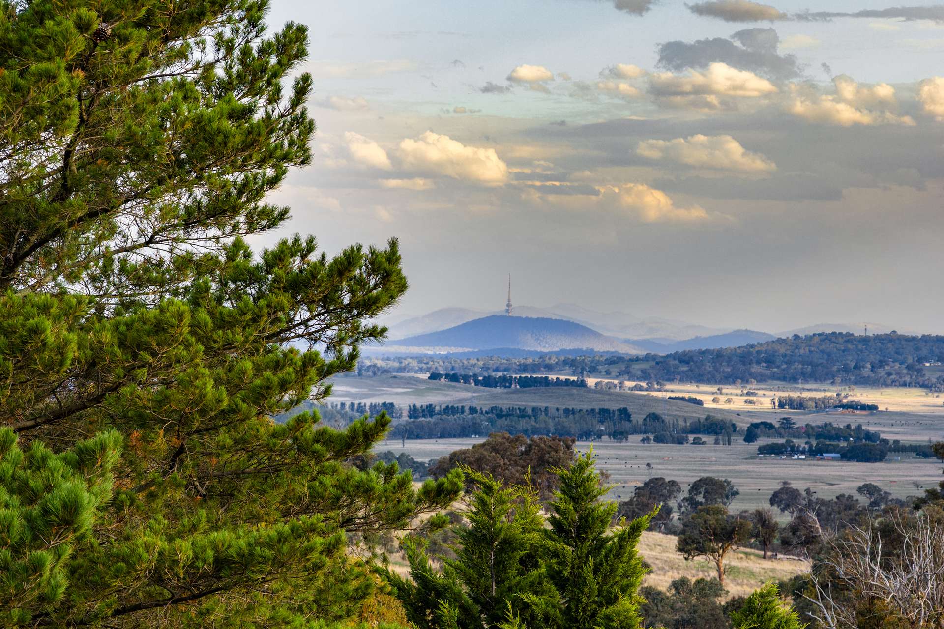 "Savannah Springs" 294 Rolfe Road, Wallaroo For Sale by Farmbuy.com - image 2