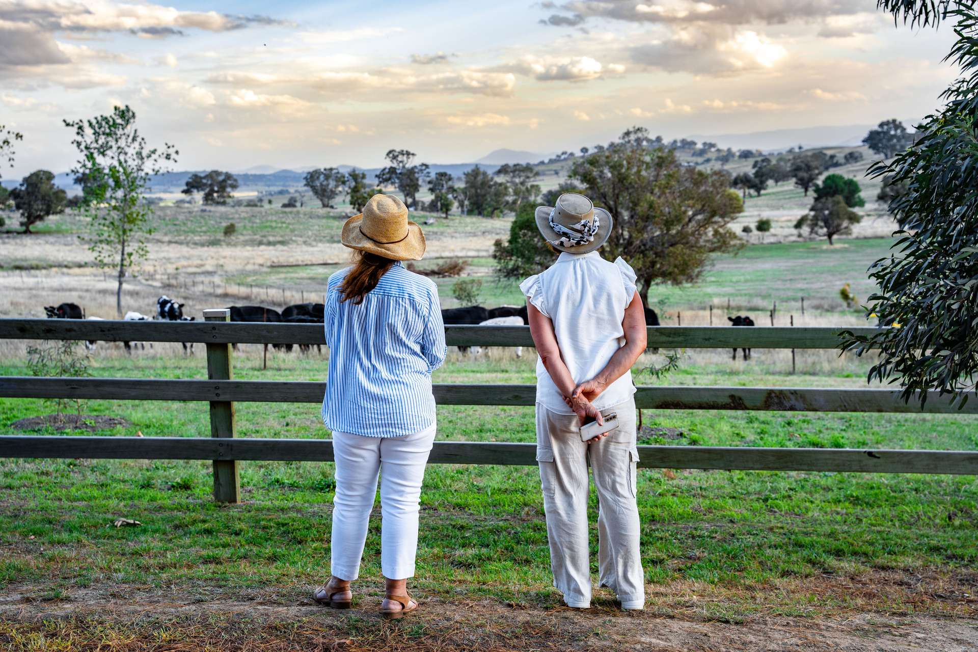 "Savannah Springs" 294 Rolfe Road, Wallaroo For Sale by Farmbuy.com - image 19