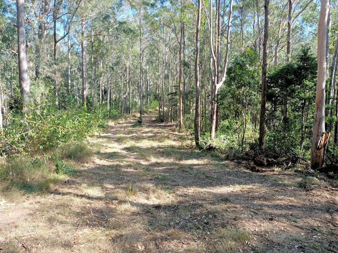 702 Comboyne Road, Byabarra Sold by Farmbuy.com - image 17