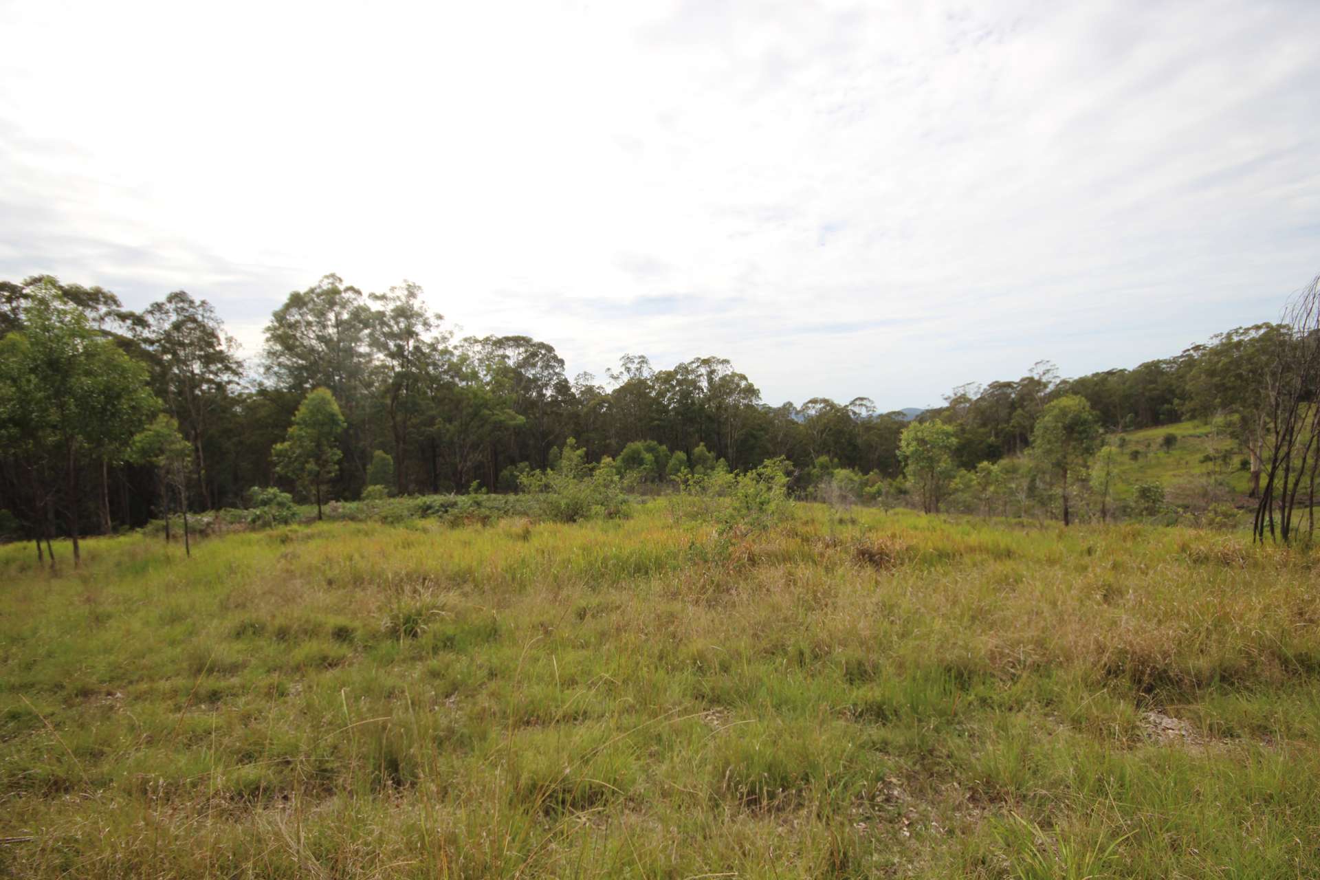 702 Comboyne Road, Byabarra Sold by Farmbuy.com - image 8