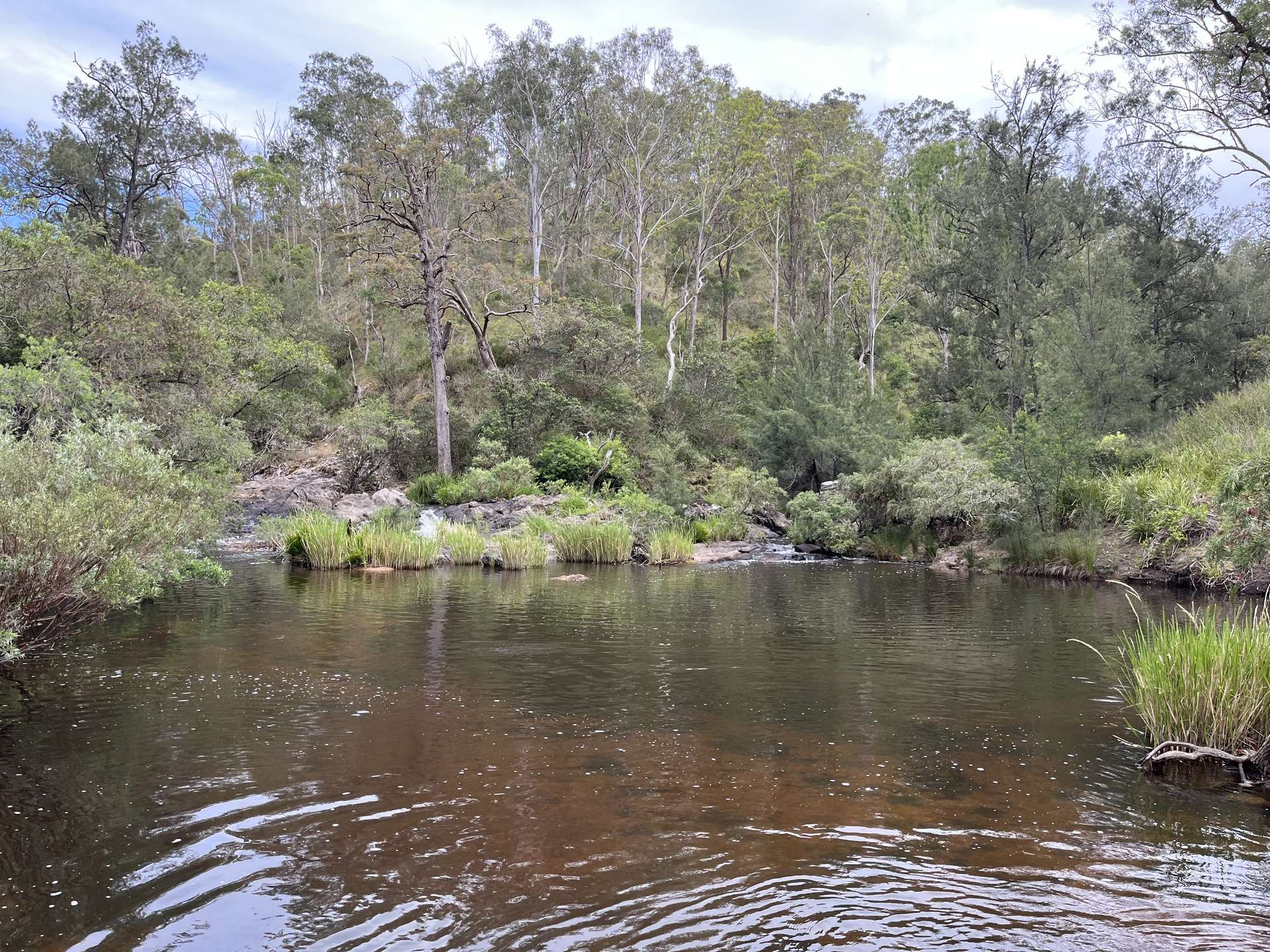 7266 Mount Lindesay Road, Liston For Sale by Farmbuy.com - image 2