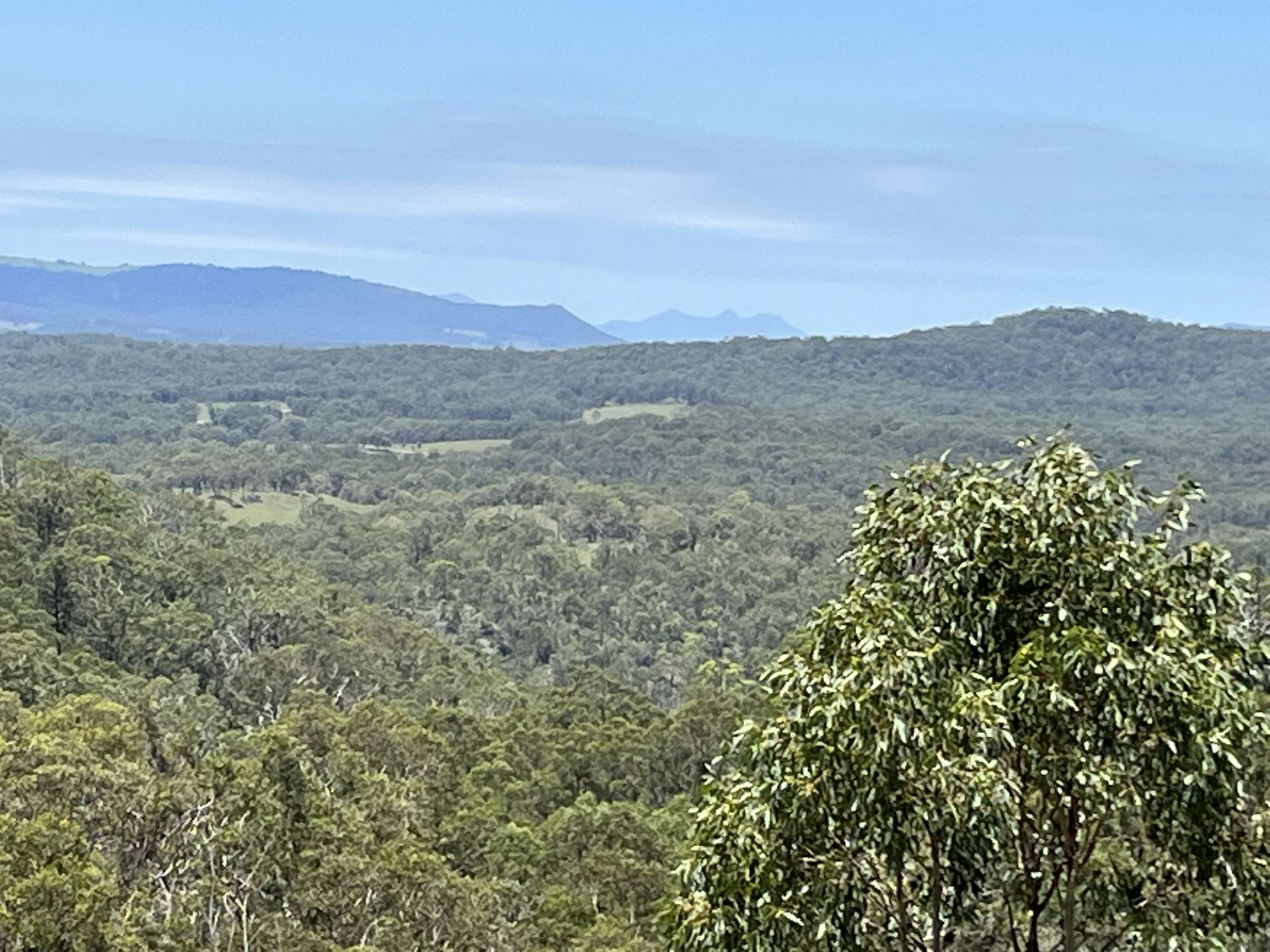 7266 Mount Lindesay Road, Liston For Sale by Farmbuy.com - image 4