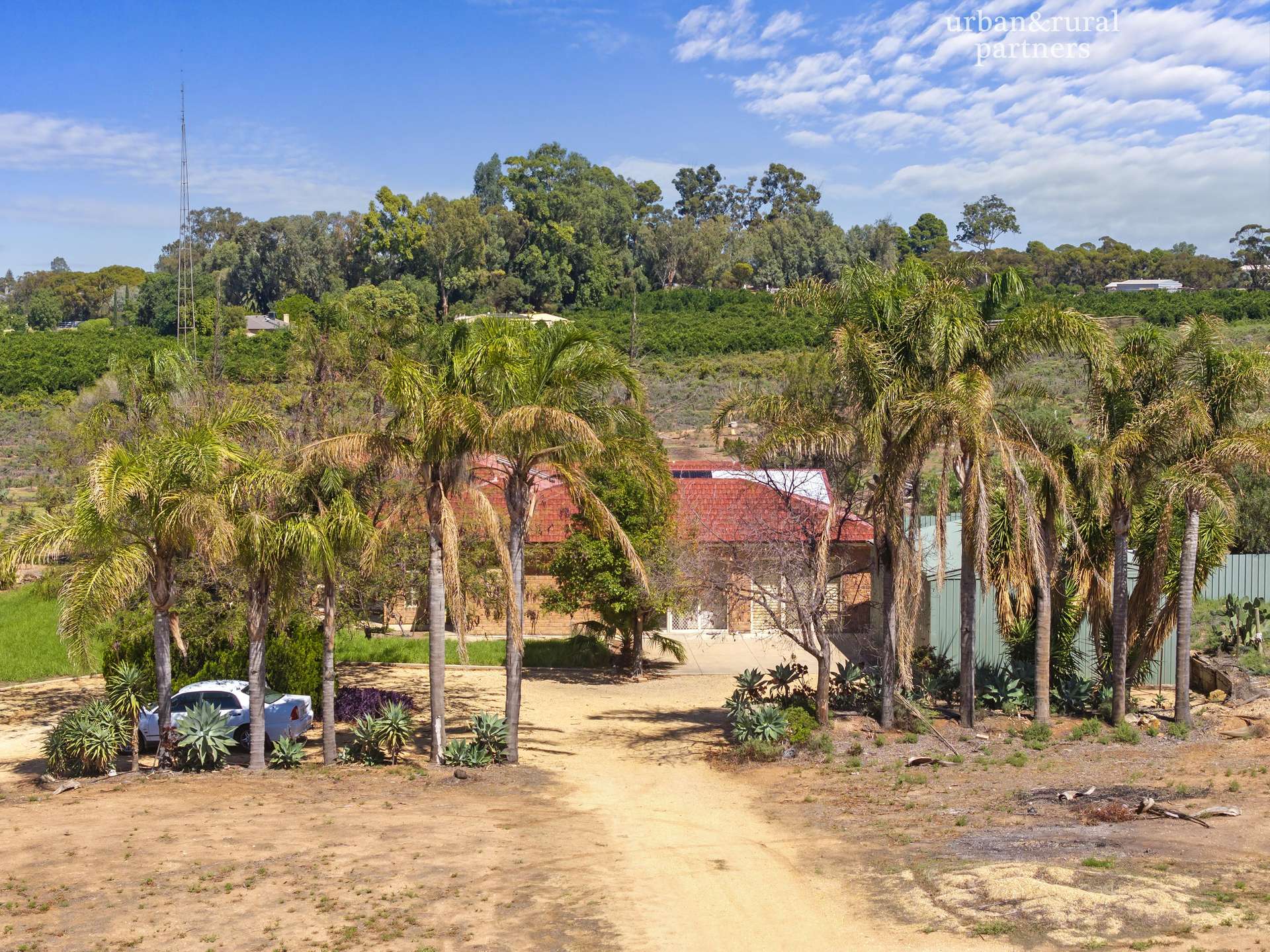 429 Riverview Drive, Berri For Sale by Farmbuy.com - image 2