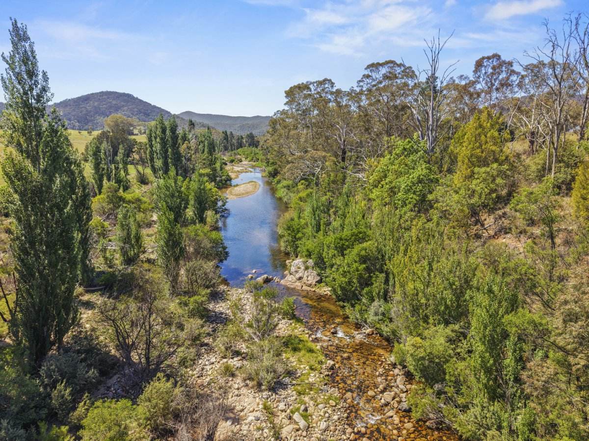1109 Big Jack Mountain Road, Rocky Hall For Sale by Farmbuy.com - image 3