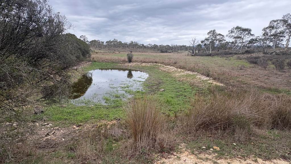 111 Farringdon Road, Braidwood NSW 2622