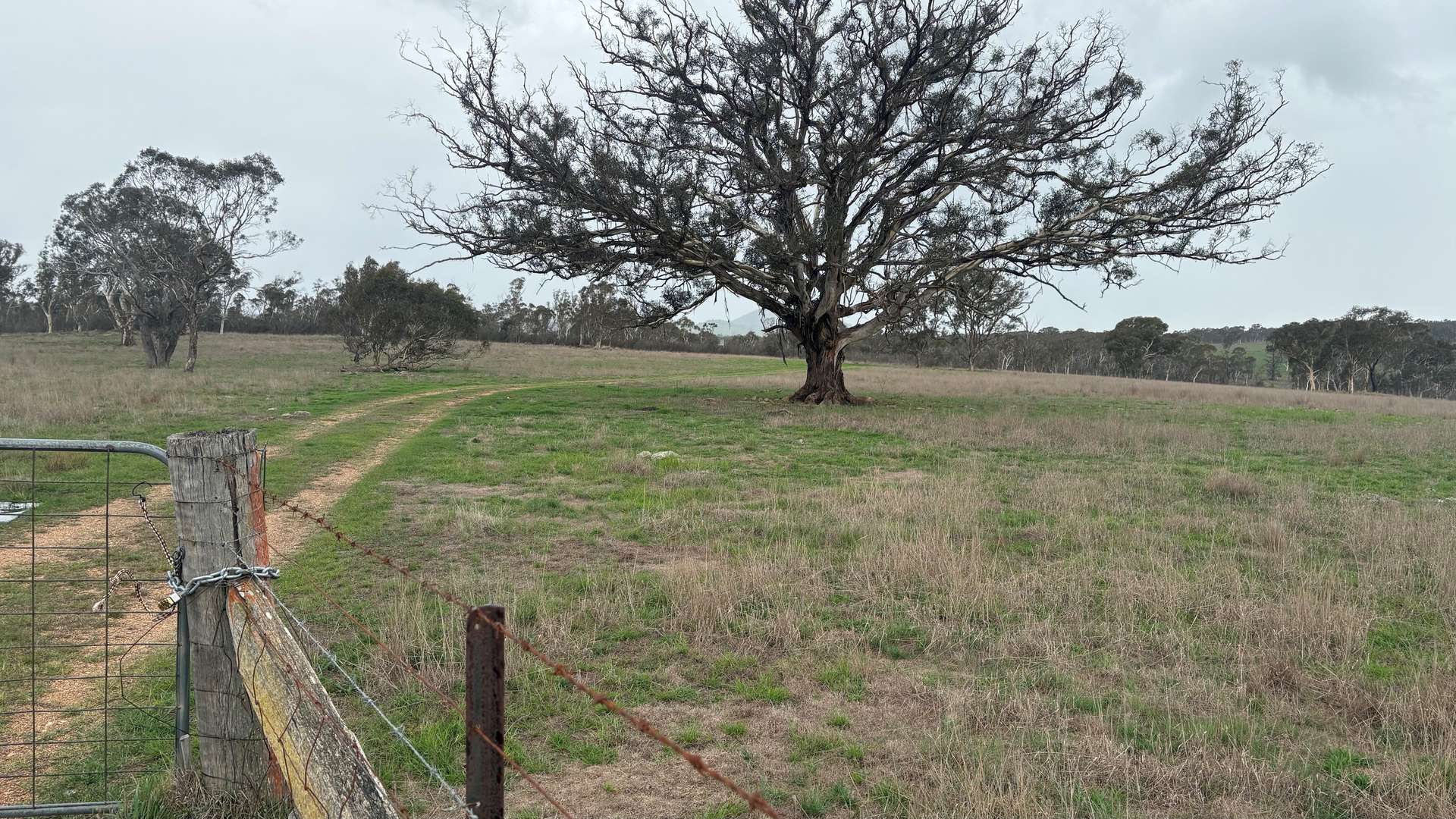 111 Farringdon Road, Braidwood For Sale by Farmbuy.com - image 3