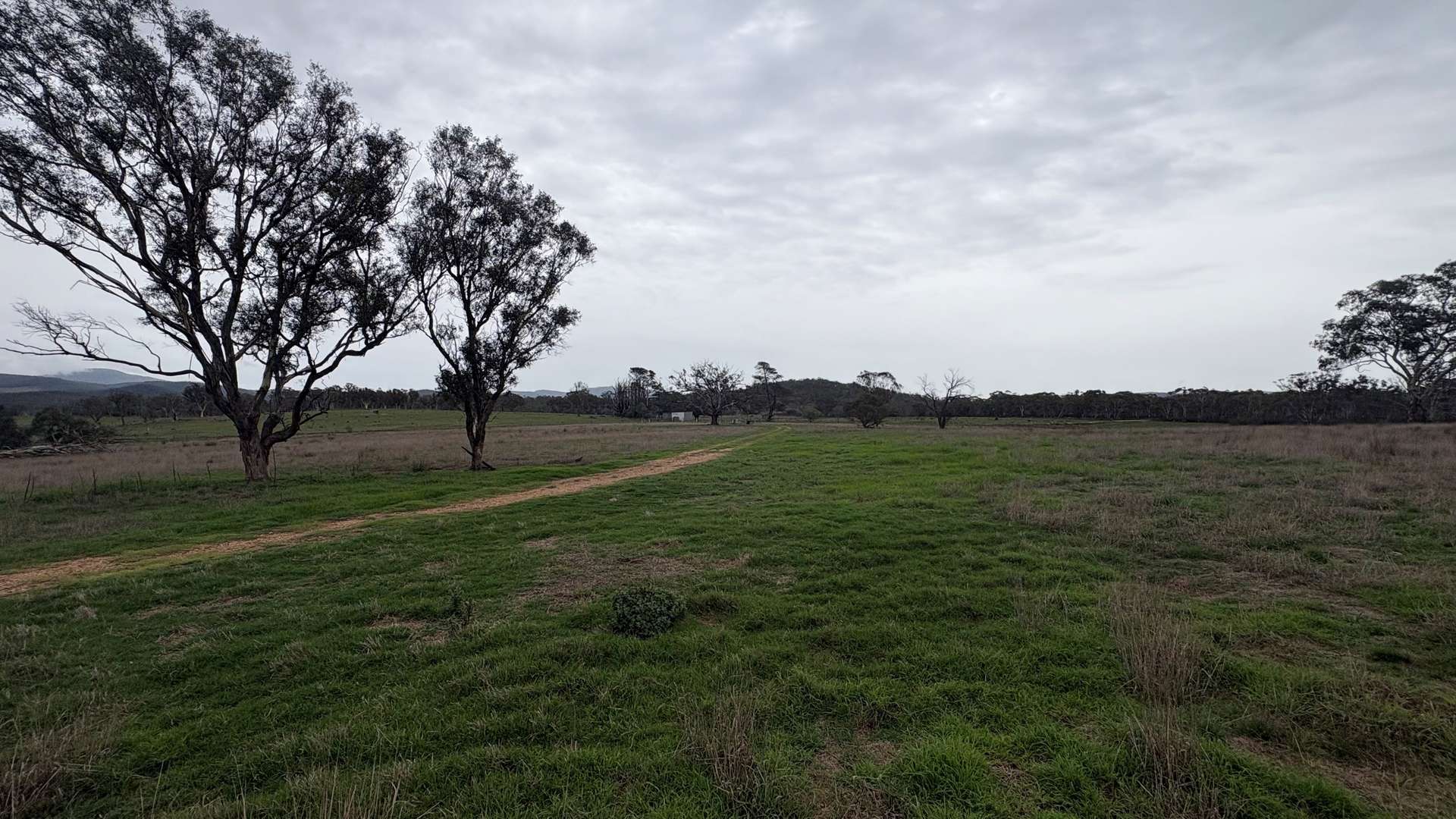 111 Farringdon Road, Braidwood For Sale by Farmbuy.com - image 5