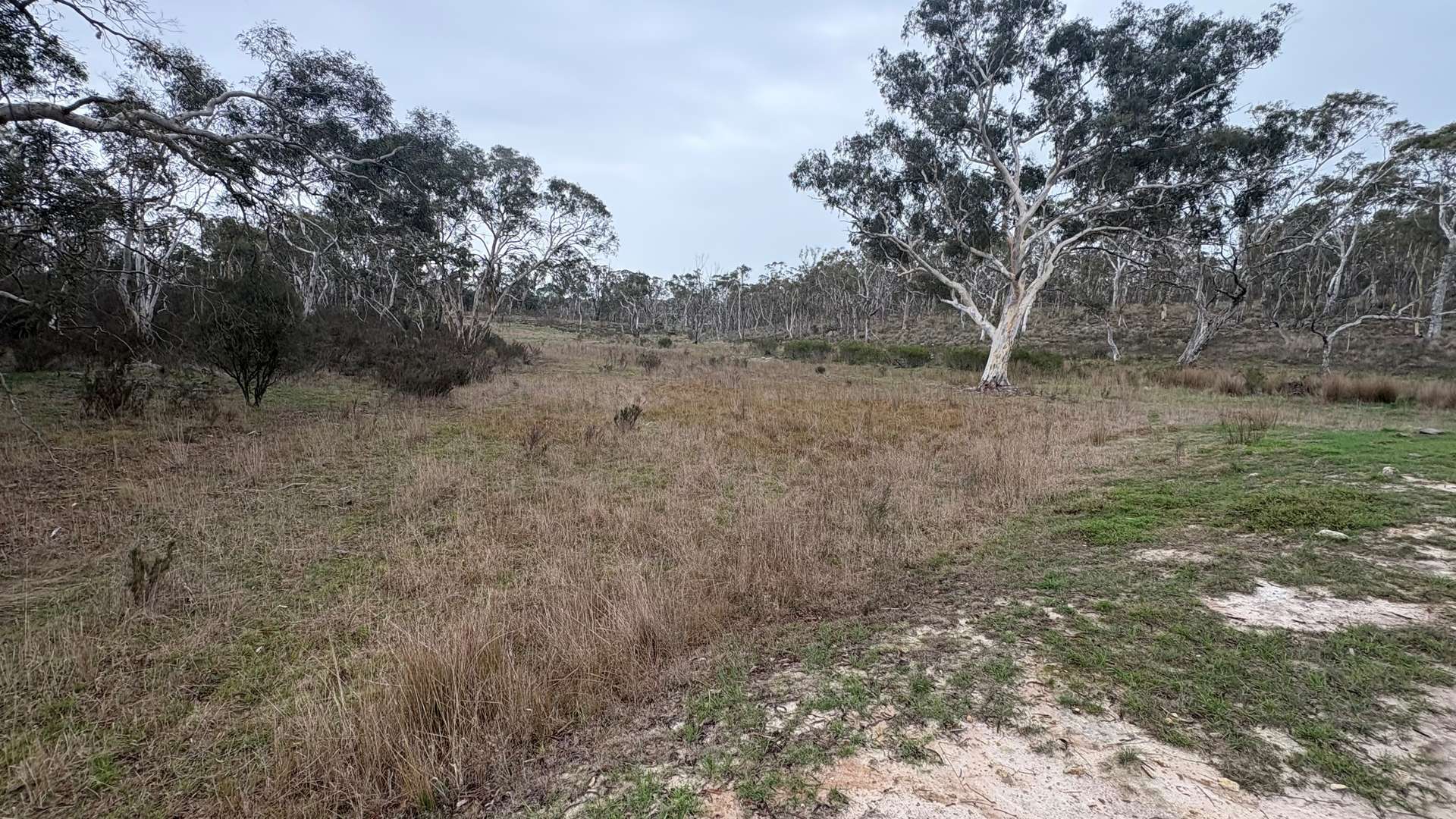 111 Farringdon Road, Braidwood For Sale by Farmbuy.com - image 12