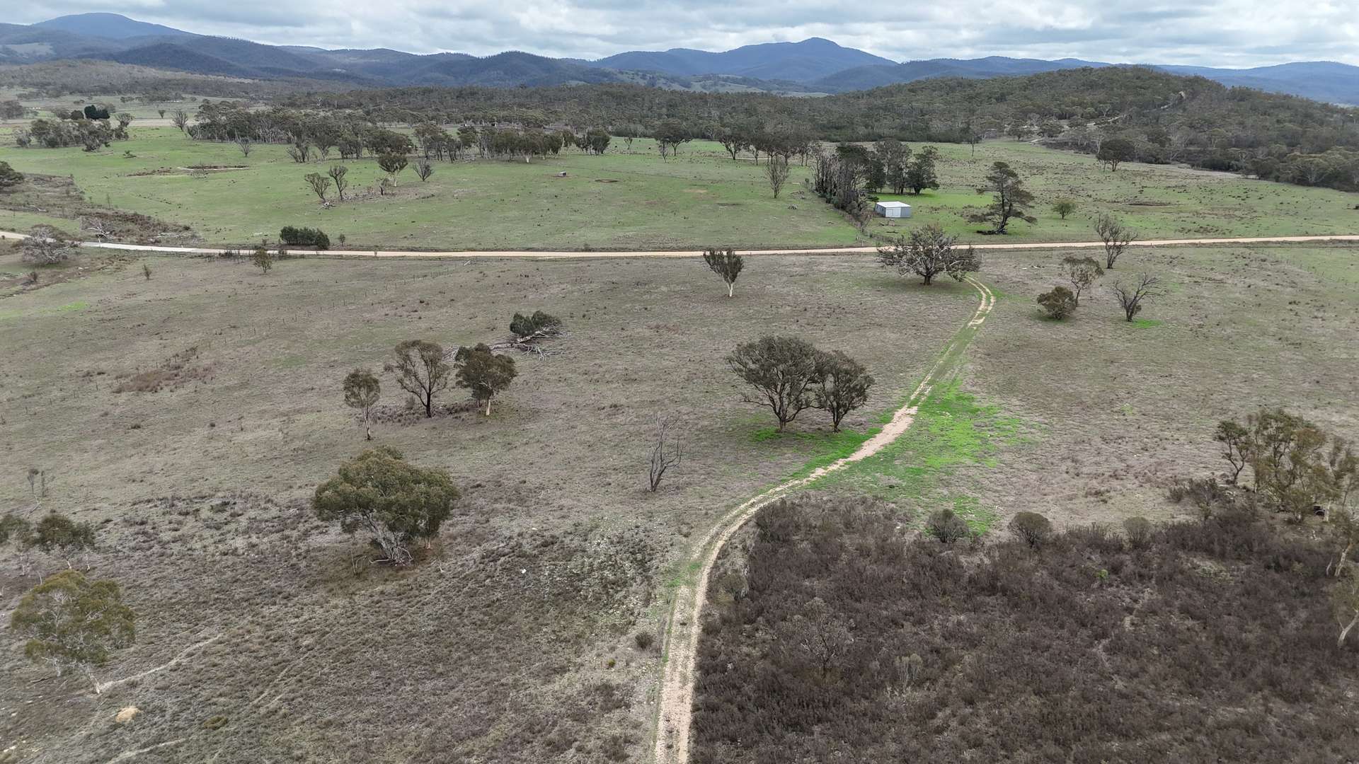 111 Farringdon Road, Braidwood For Sale by Farmbuy.com - image 3